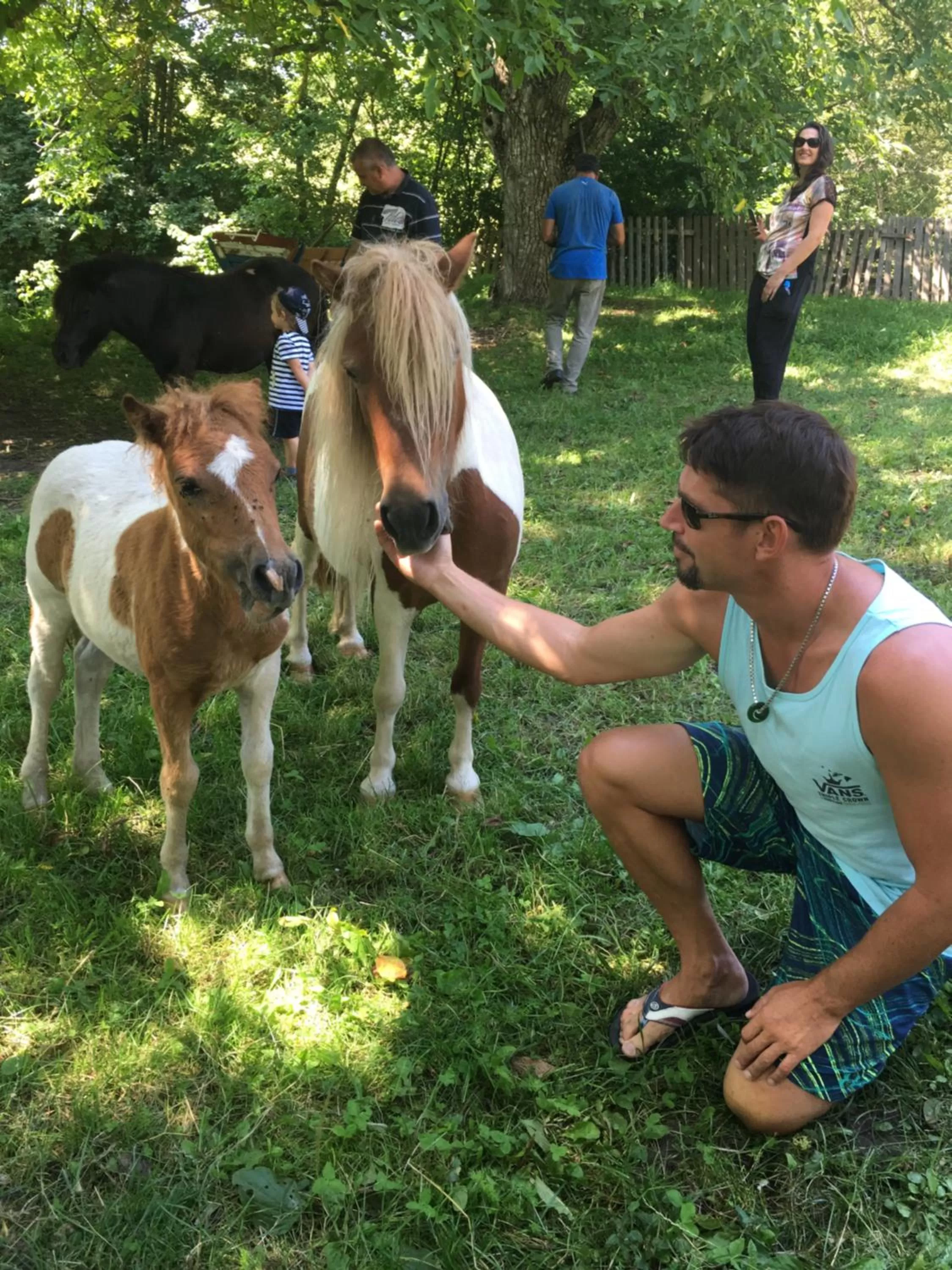 Day in Pensiunea SilvAnka