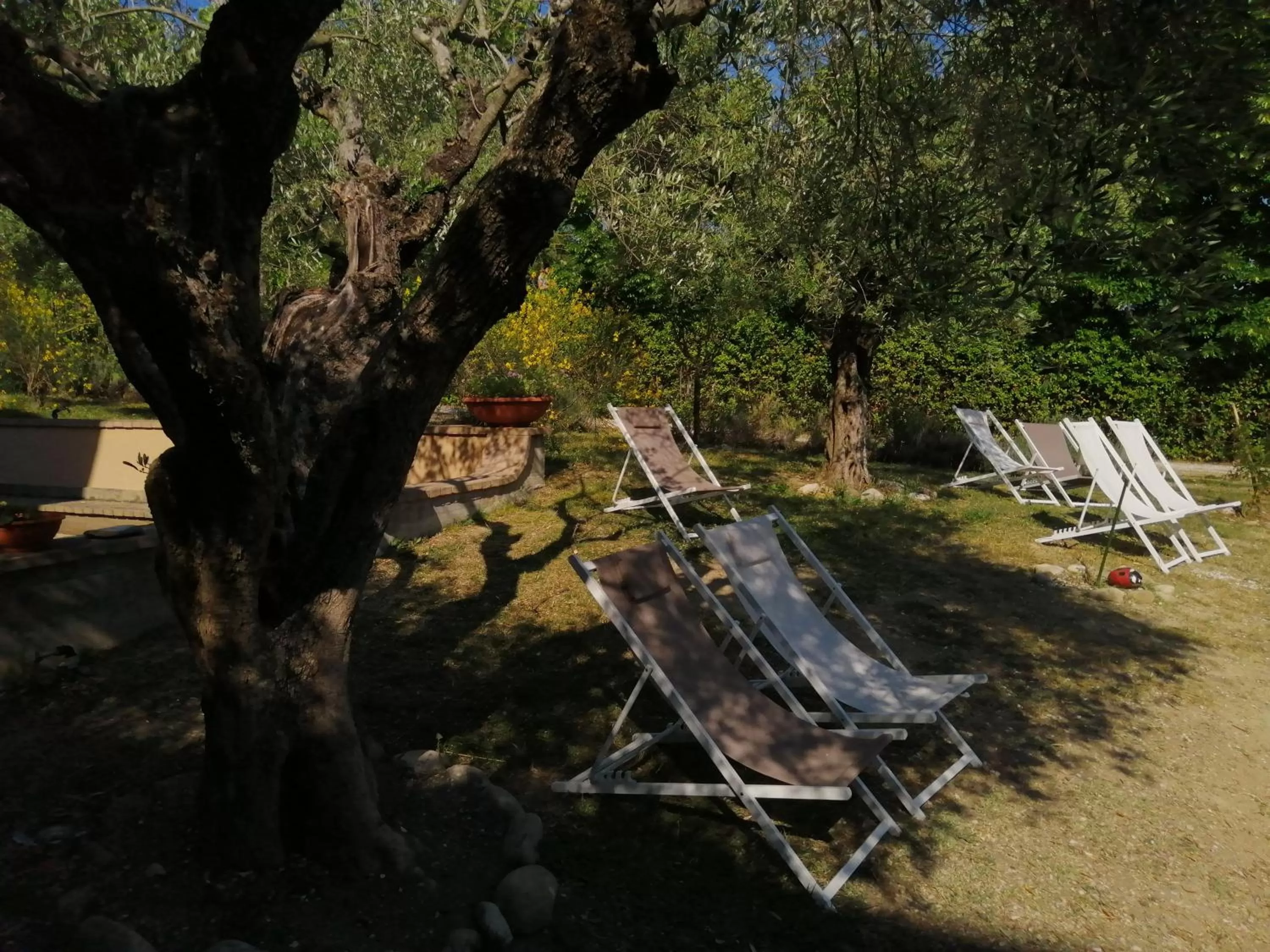 Garden in La Casetta del Cantiniere