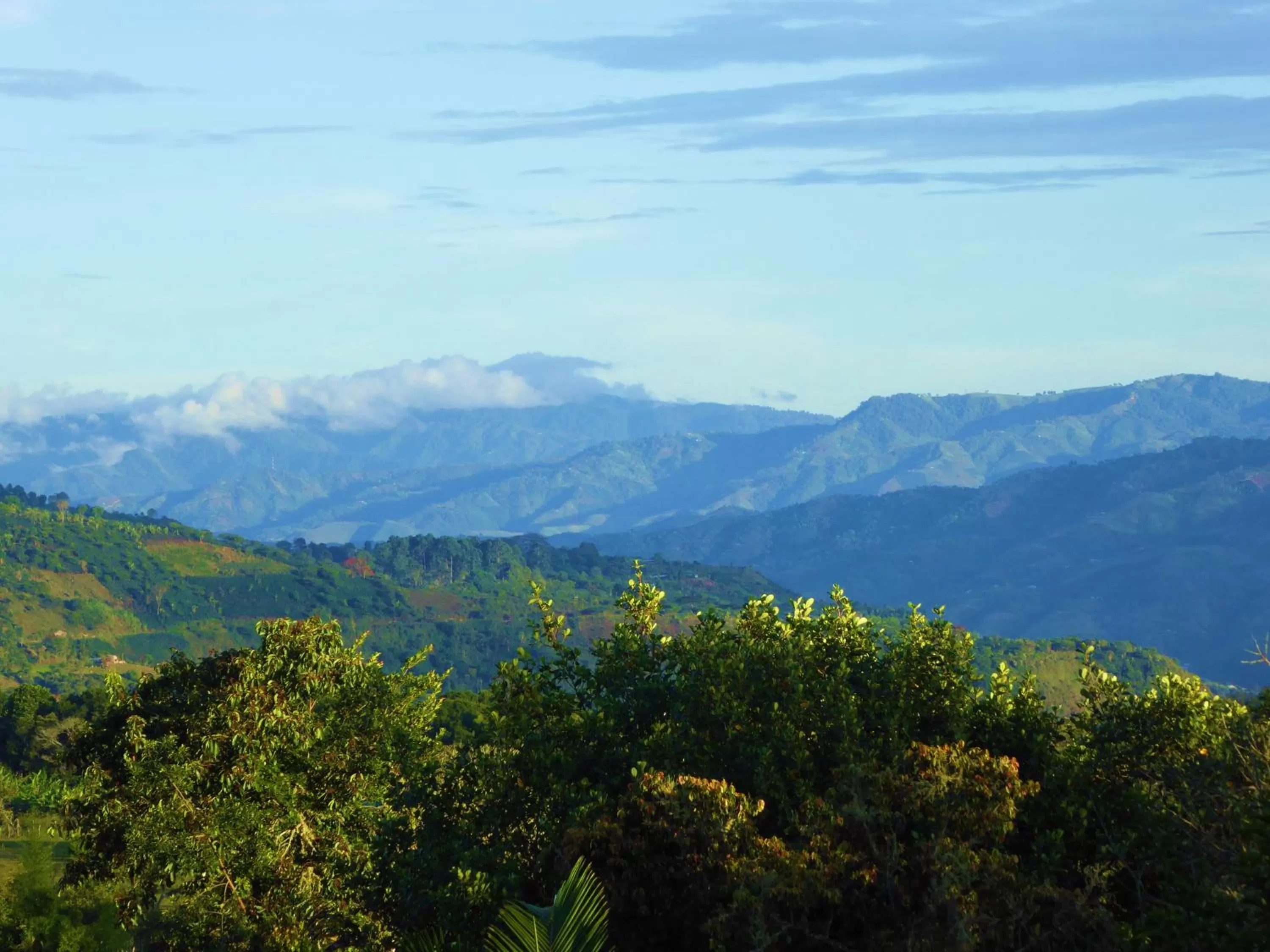 View (from property/room), Mountain View in Finca El Cielo