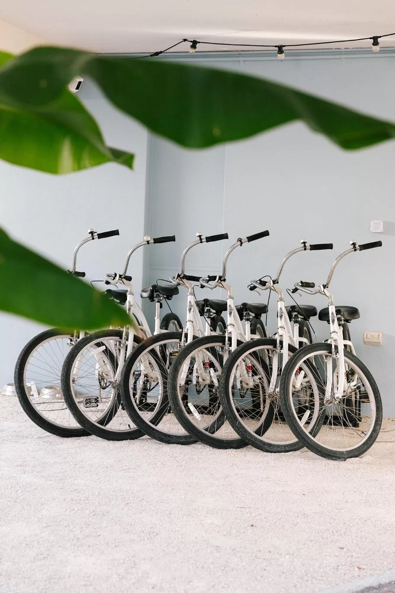 Cycling in The Blue Water Motel