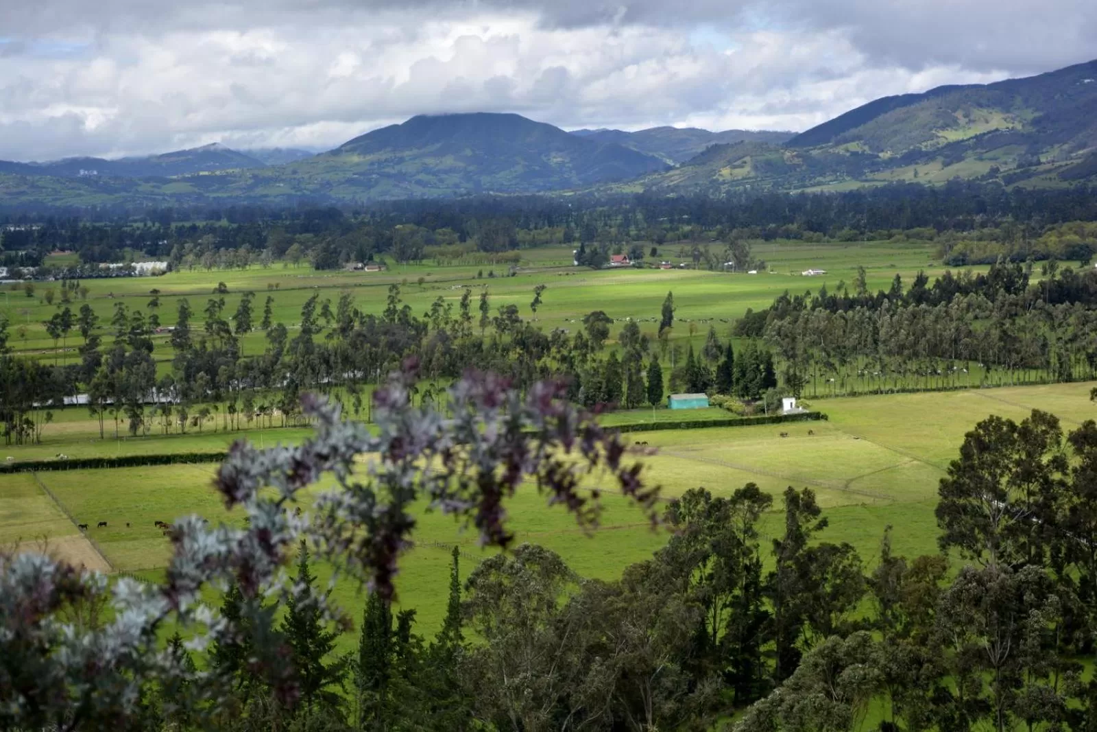 Landmark view in El Pedregal Sopó