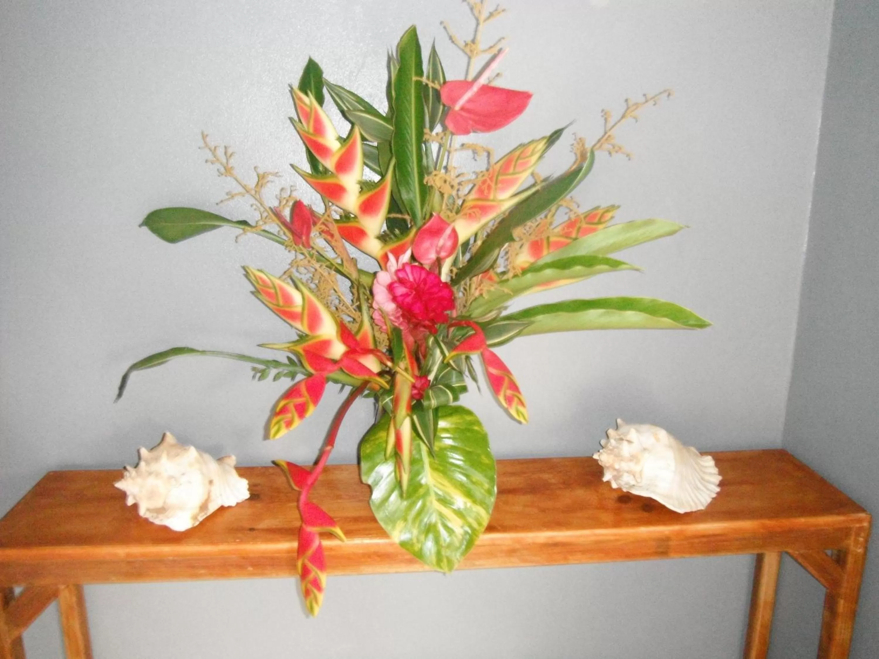 Balcony/Terrace in Classique International in Dominica