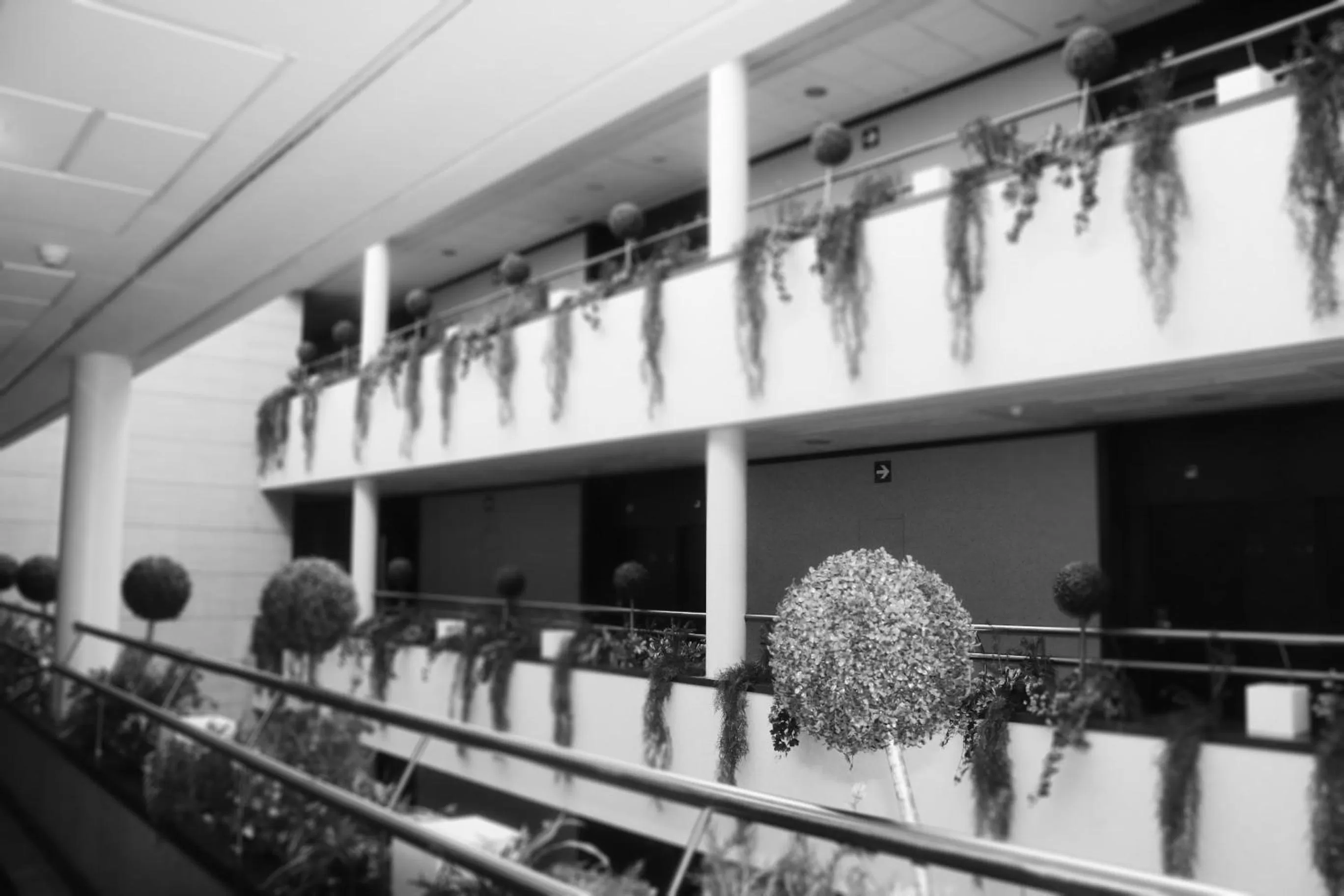 Other, Winter in Hotel La Cantueña