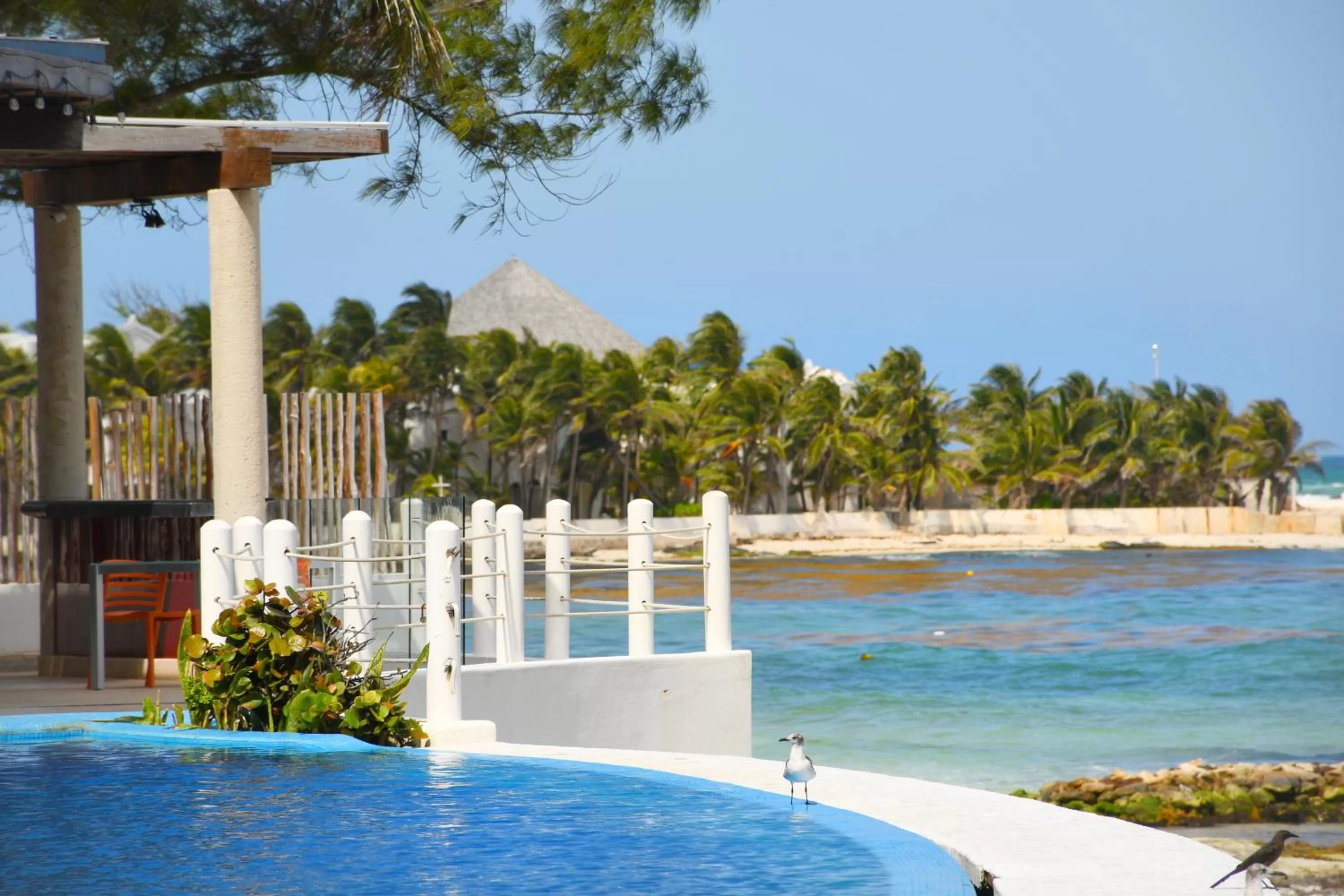 Beach in Senses Riviera Maya - Ocean Front Boutique Hotel - Adults only