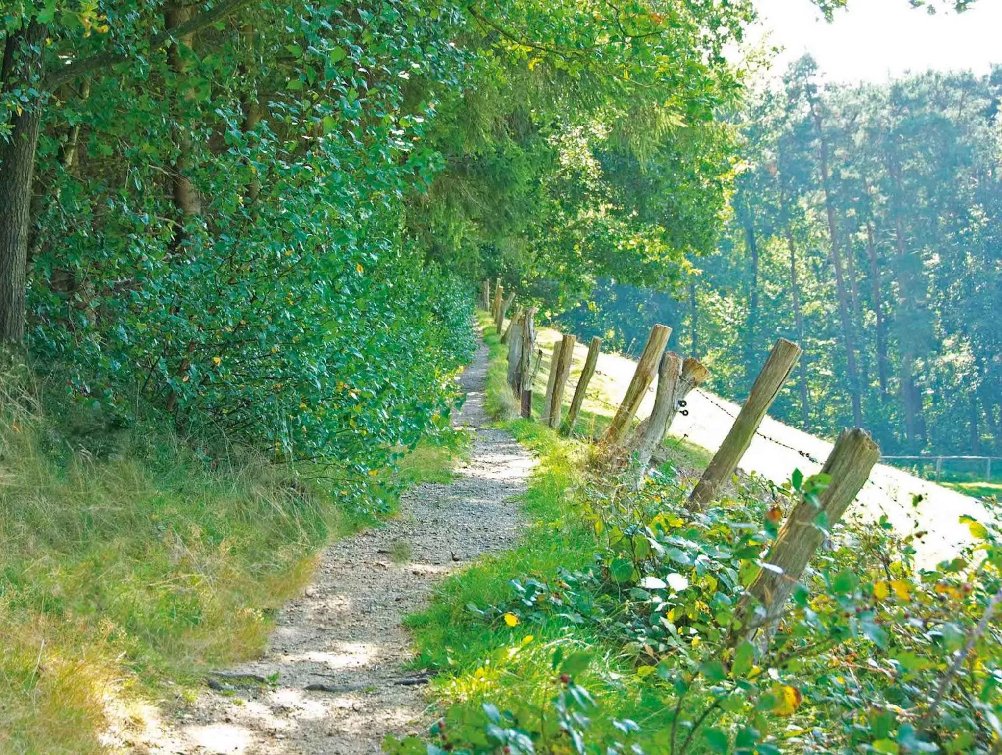 Horse-riding in Lindenhof Hotel Tepe