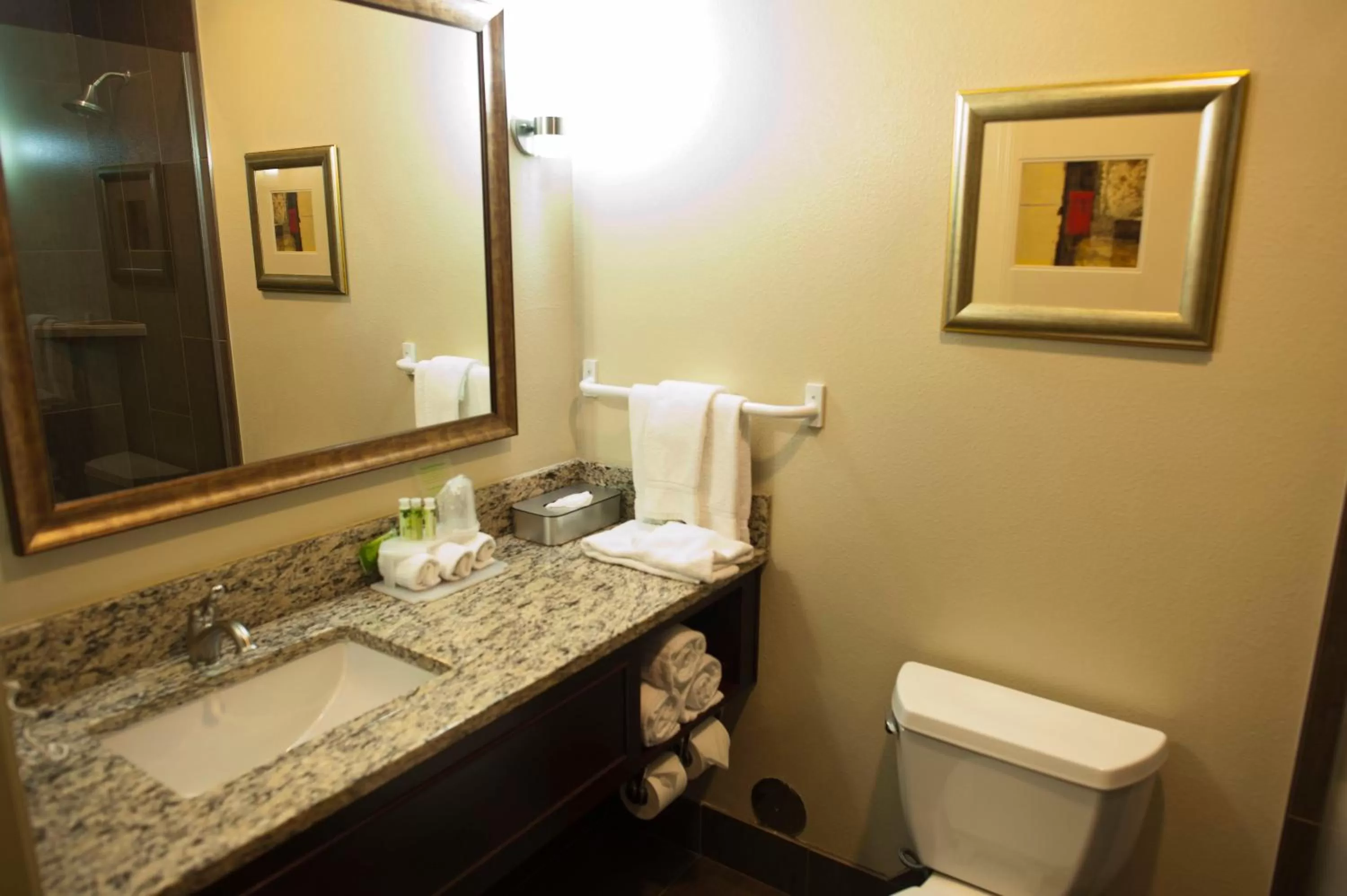 Bathroom in Holiday Inn Express Walla Walla by IHG