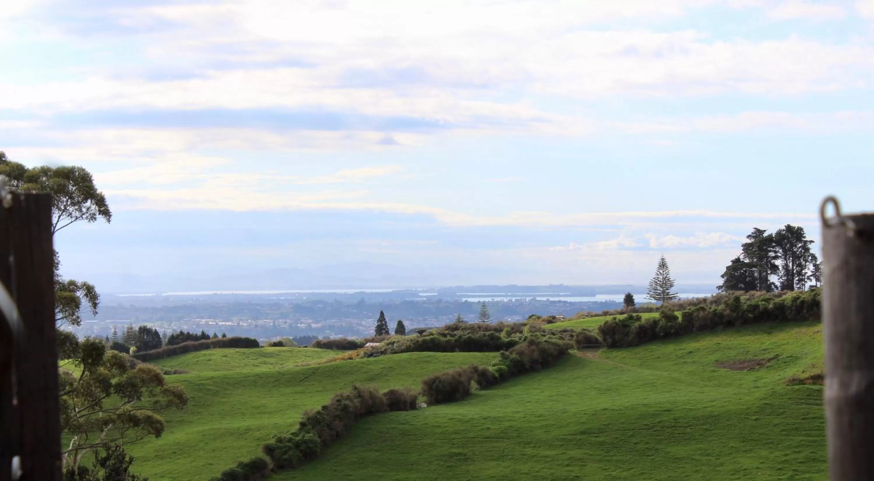 Sea view in Arohanui Rural Retreat B&B