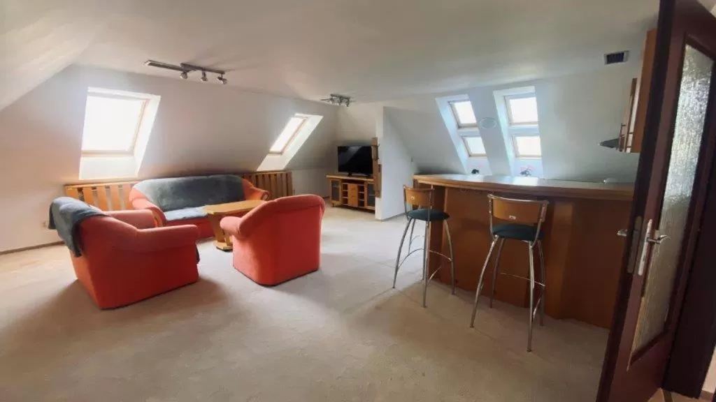 Standard Apartment in U vodohospodárov