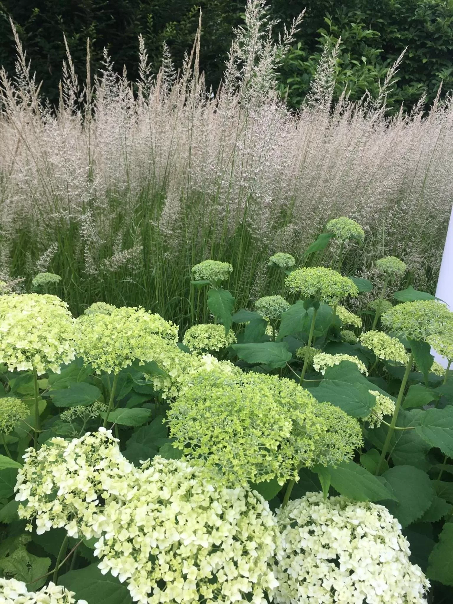 Winter in Retour de Provence