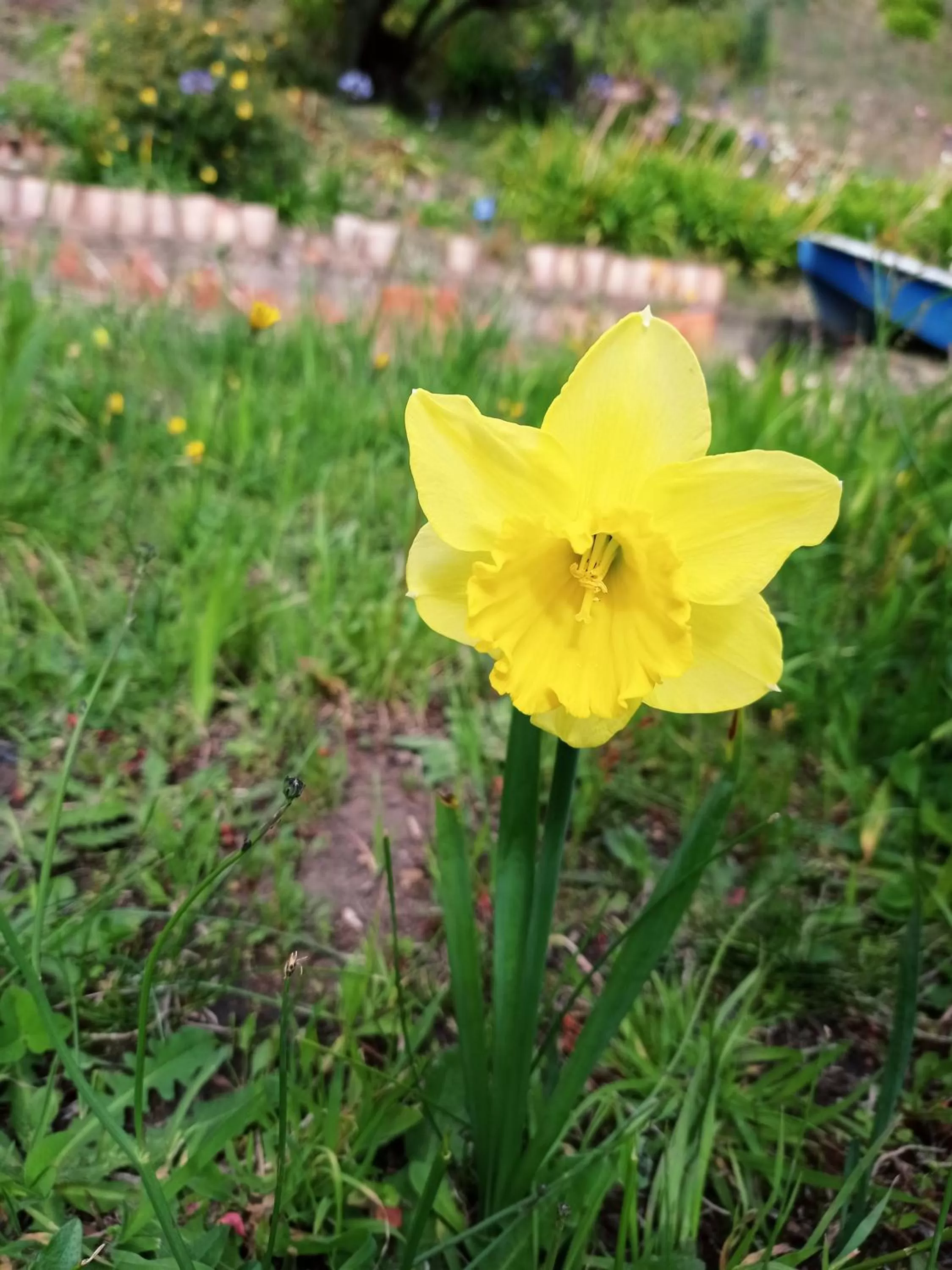 Hotel Refugio Pozo Azul