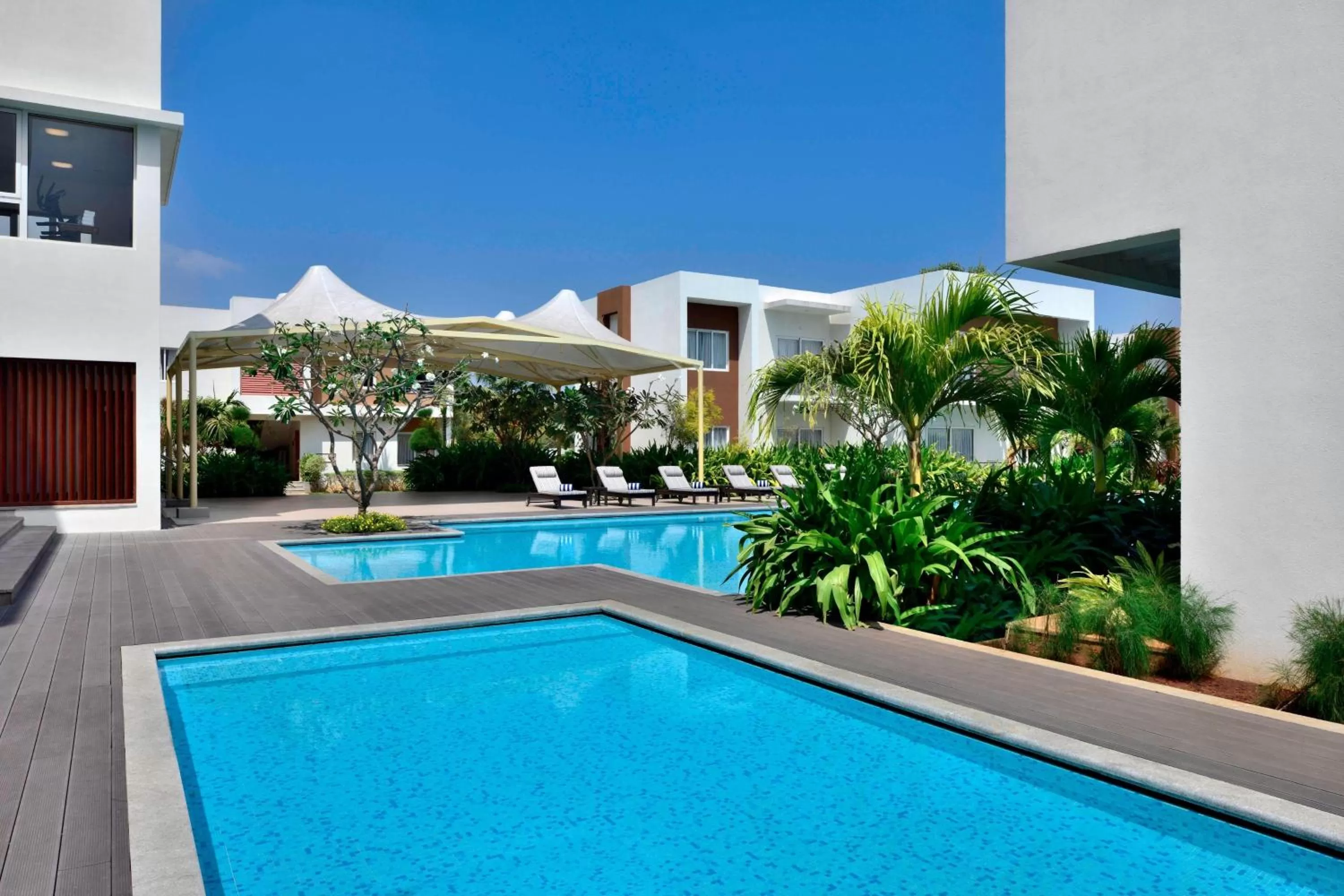 Swimming pool in Four Points by Sheraton Mahabalipuram Resort & Convention Center