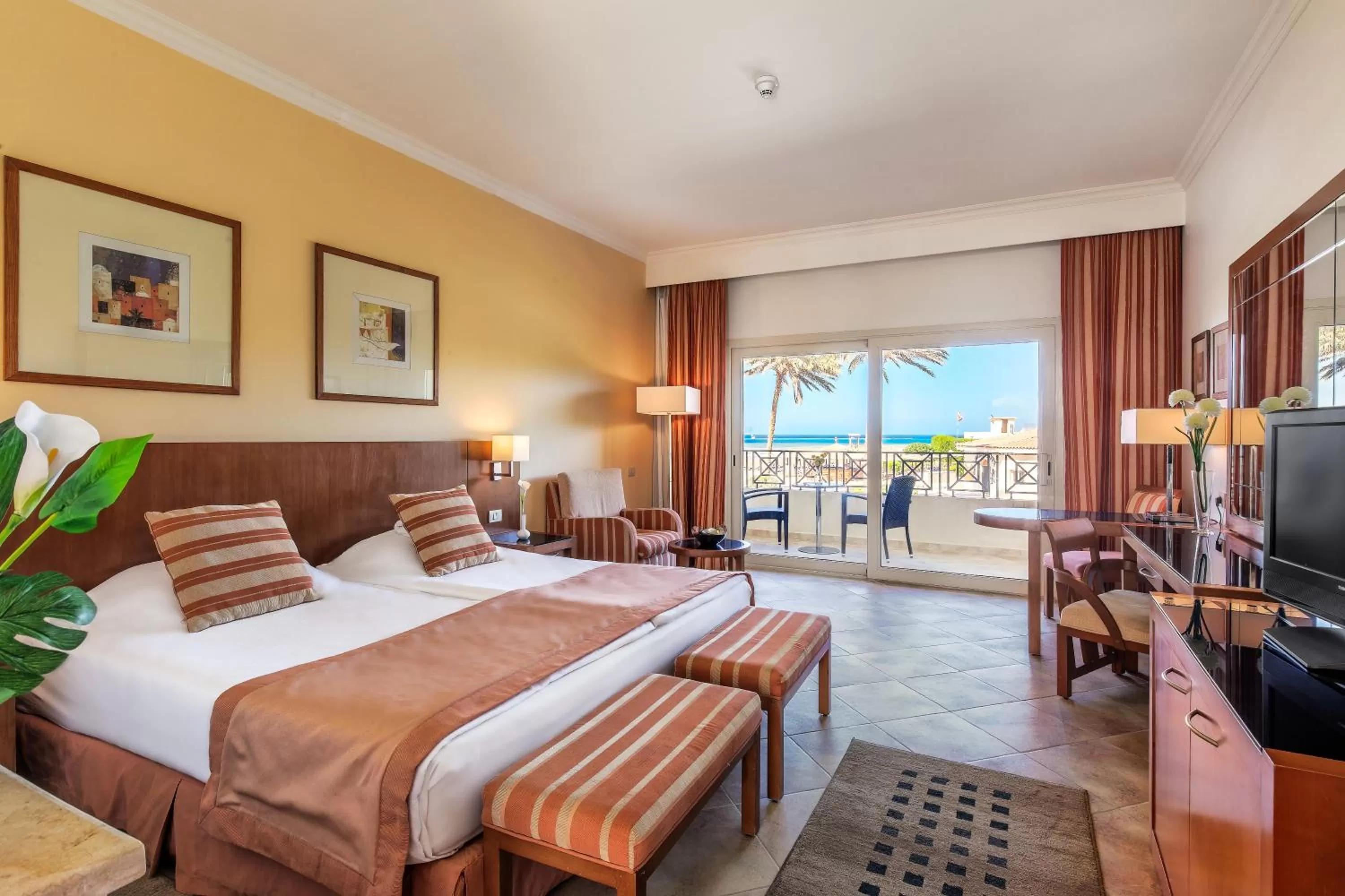 Executive Suite in Cleopatra Luxury Beach Resort Makadi Bay - Adults only