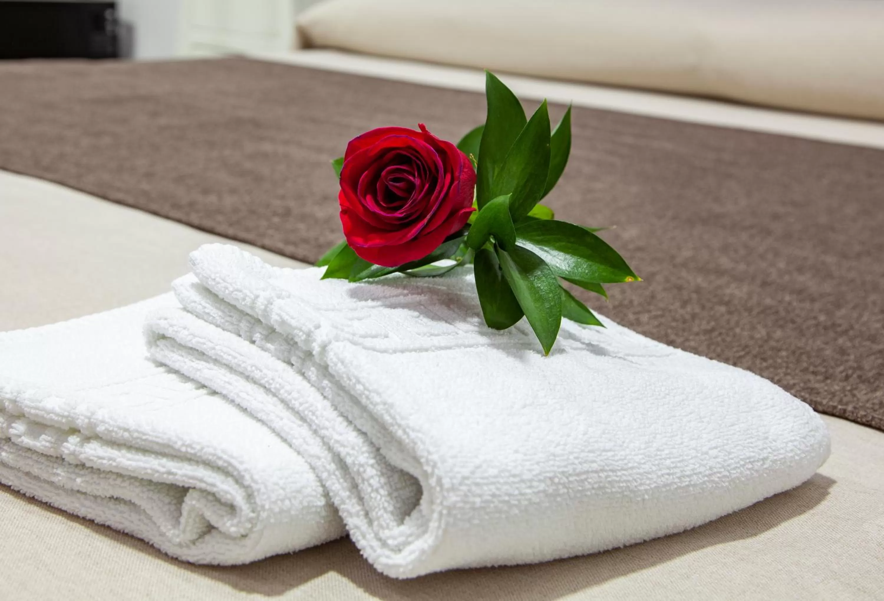 Bed in Hotel Julián