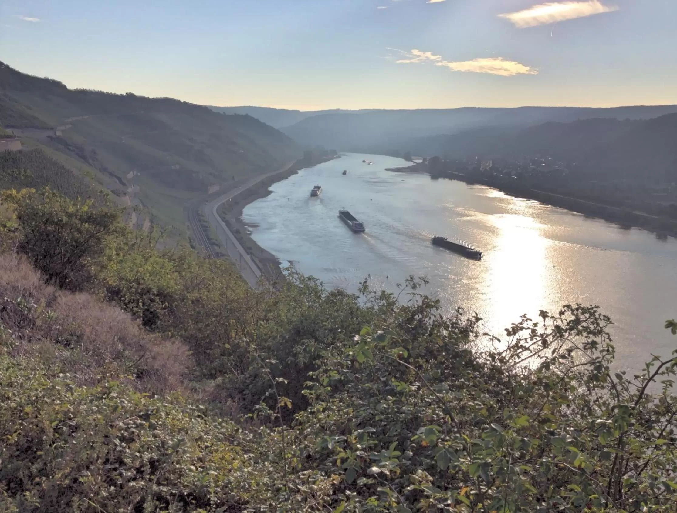 View (from property/room) in Hotel Rheinlust