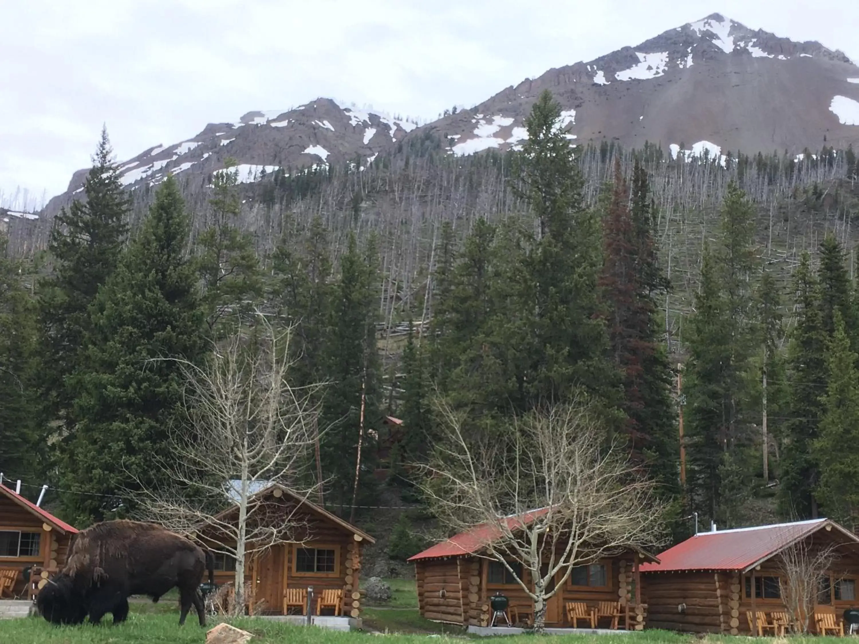 Cottage in Silver Gate Lodging Cottage in Silver Gate Lodging