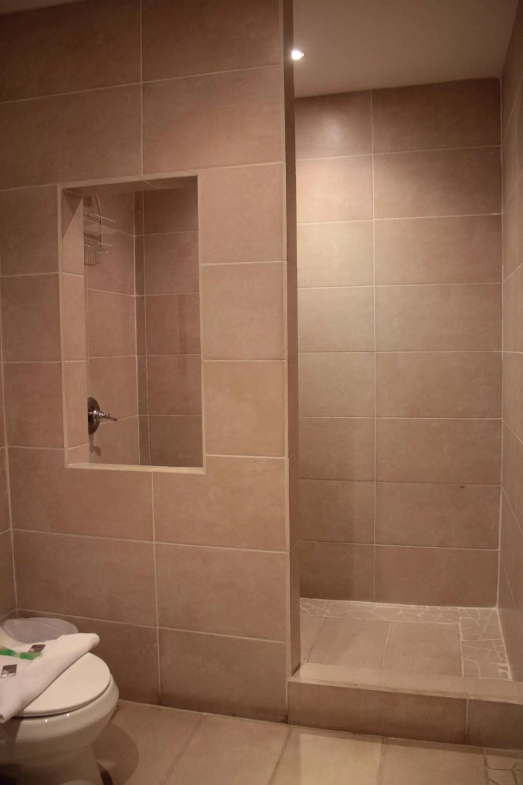 Toilet in Hotel Luisiana