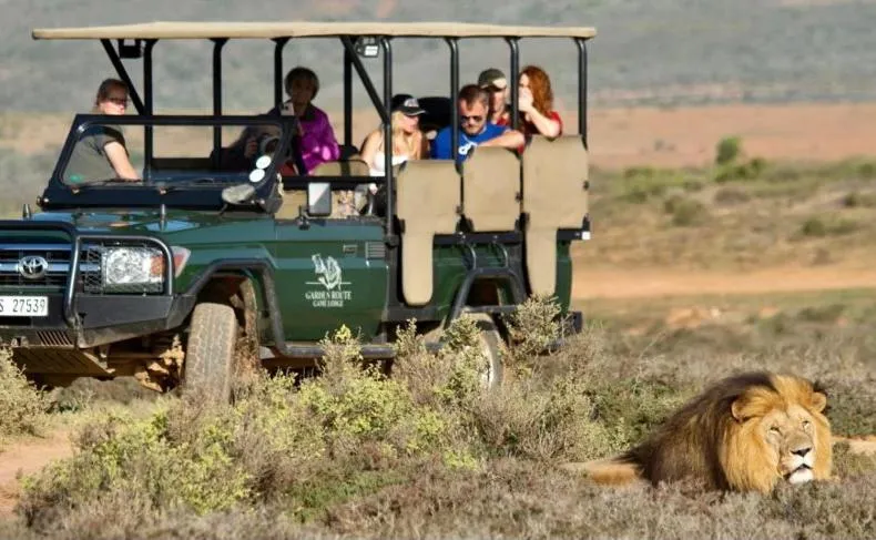 Day in Garden Route Game Lodge