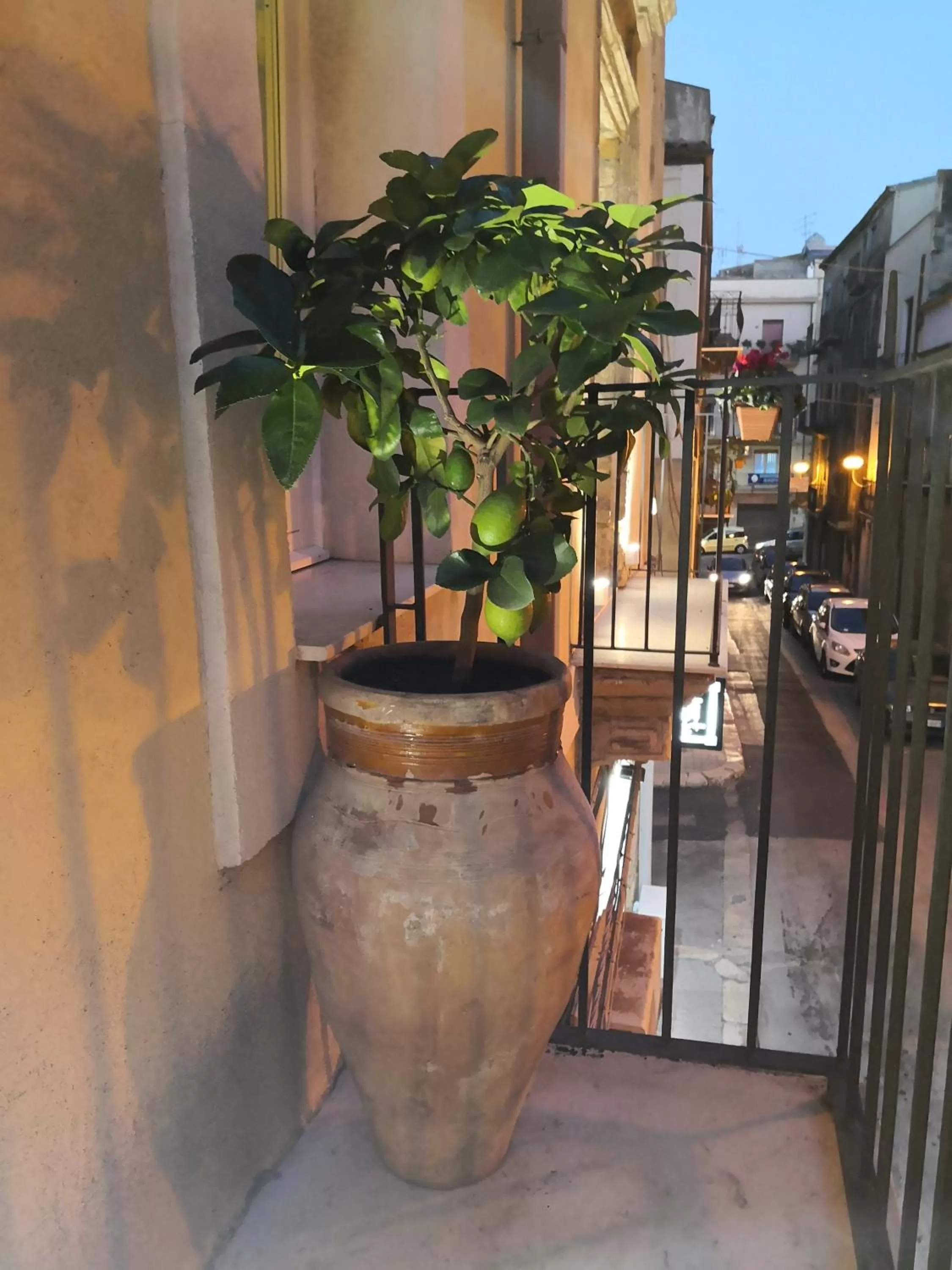 Balcony/Terrace in Palazzo Gioffrè