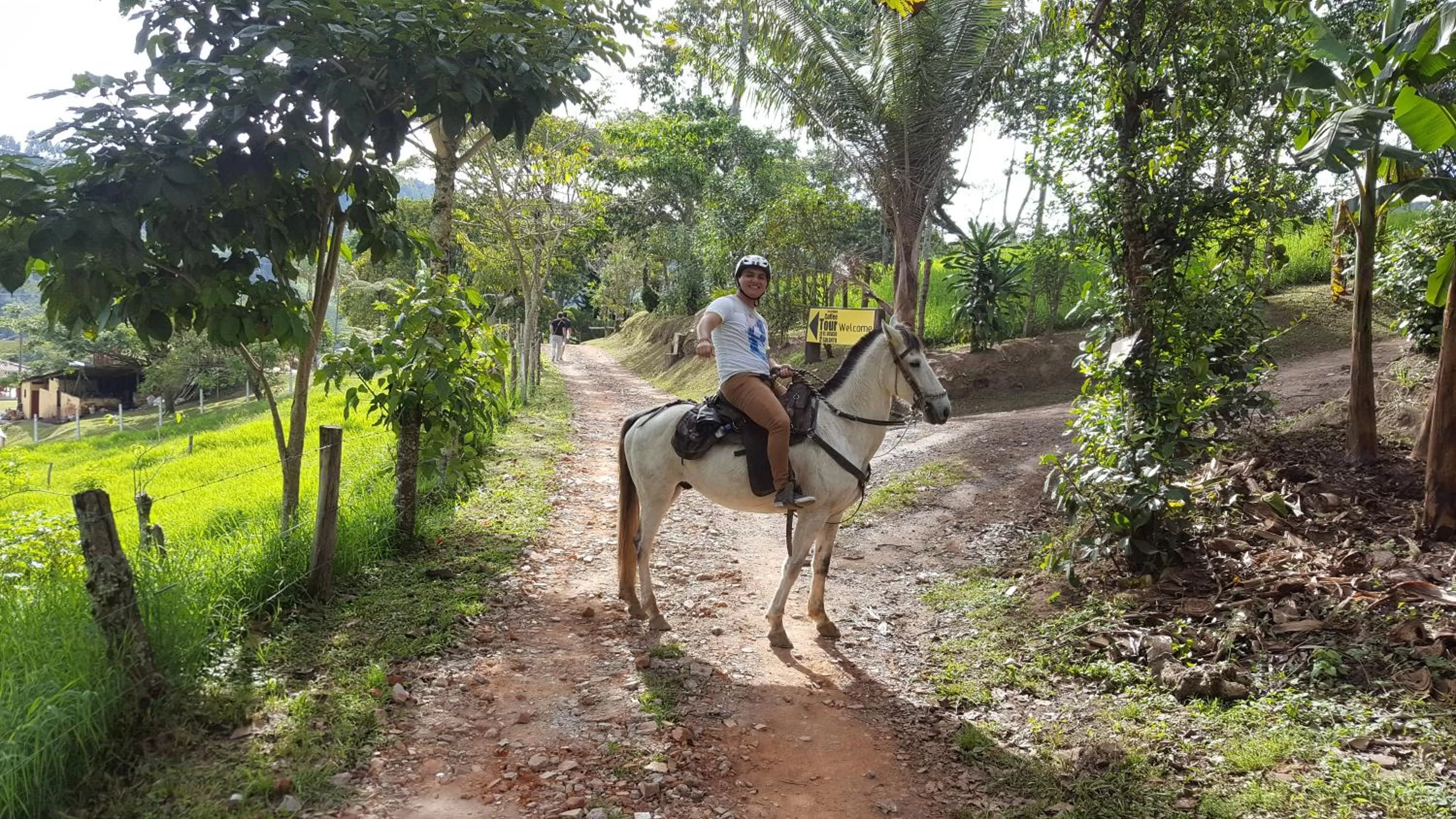 People, Horseback Riding in Beta Hotel