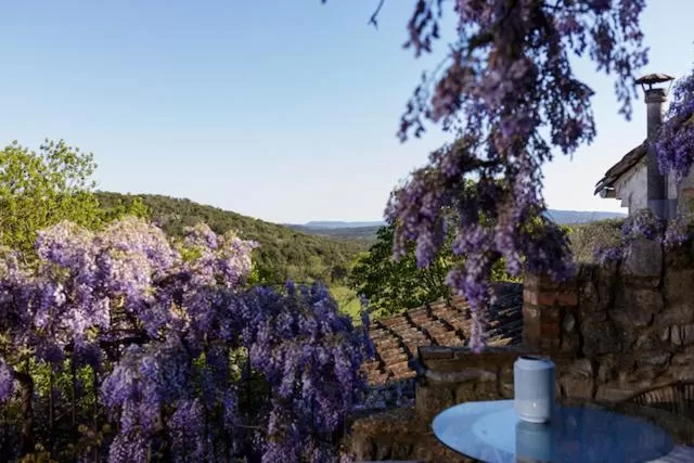 Balcony/Terrace in La Vieille Maison - Halte Gourmande