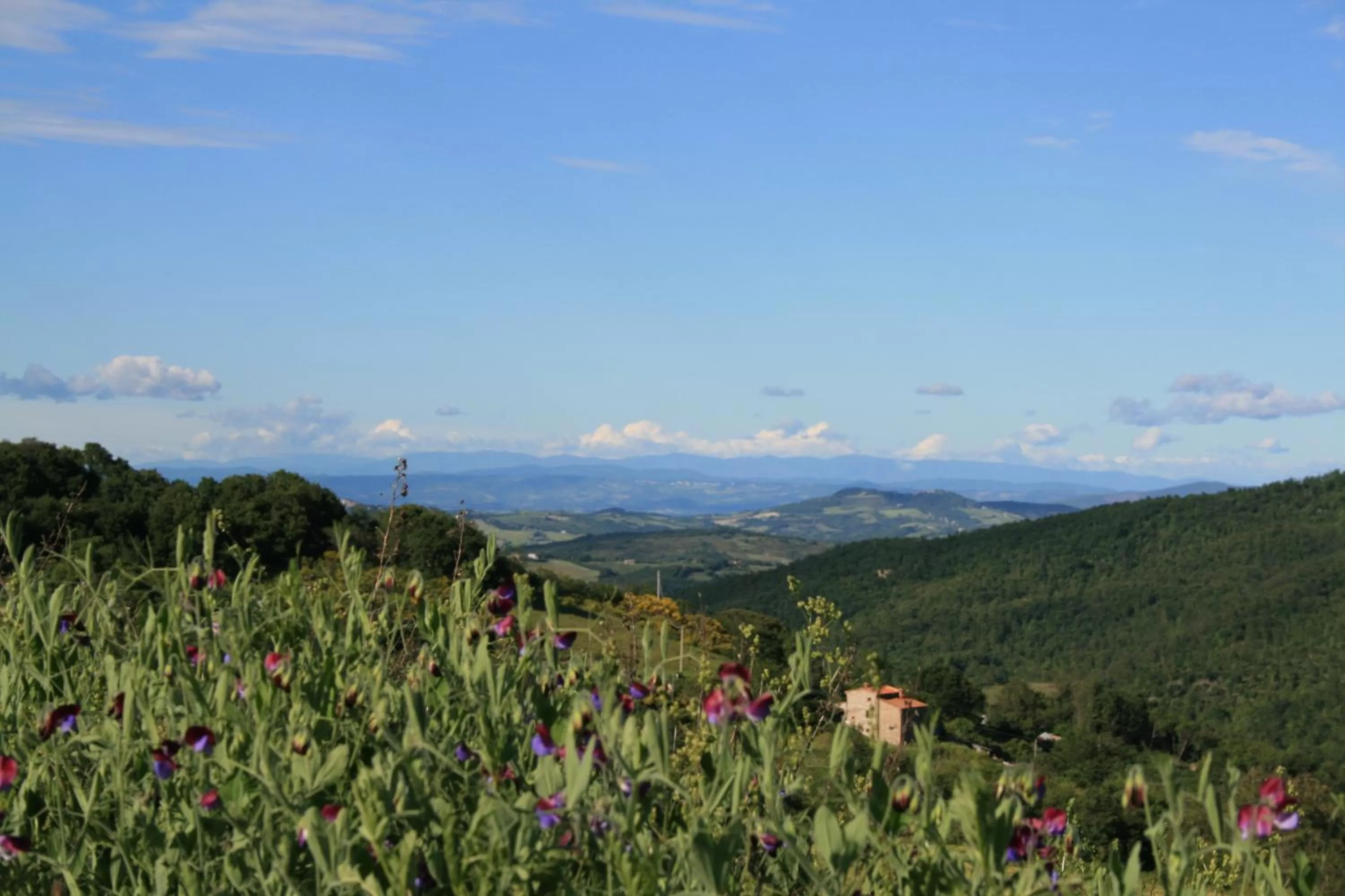 On site in Hotel Dei Conti