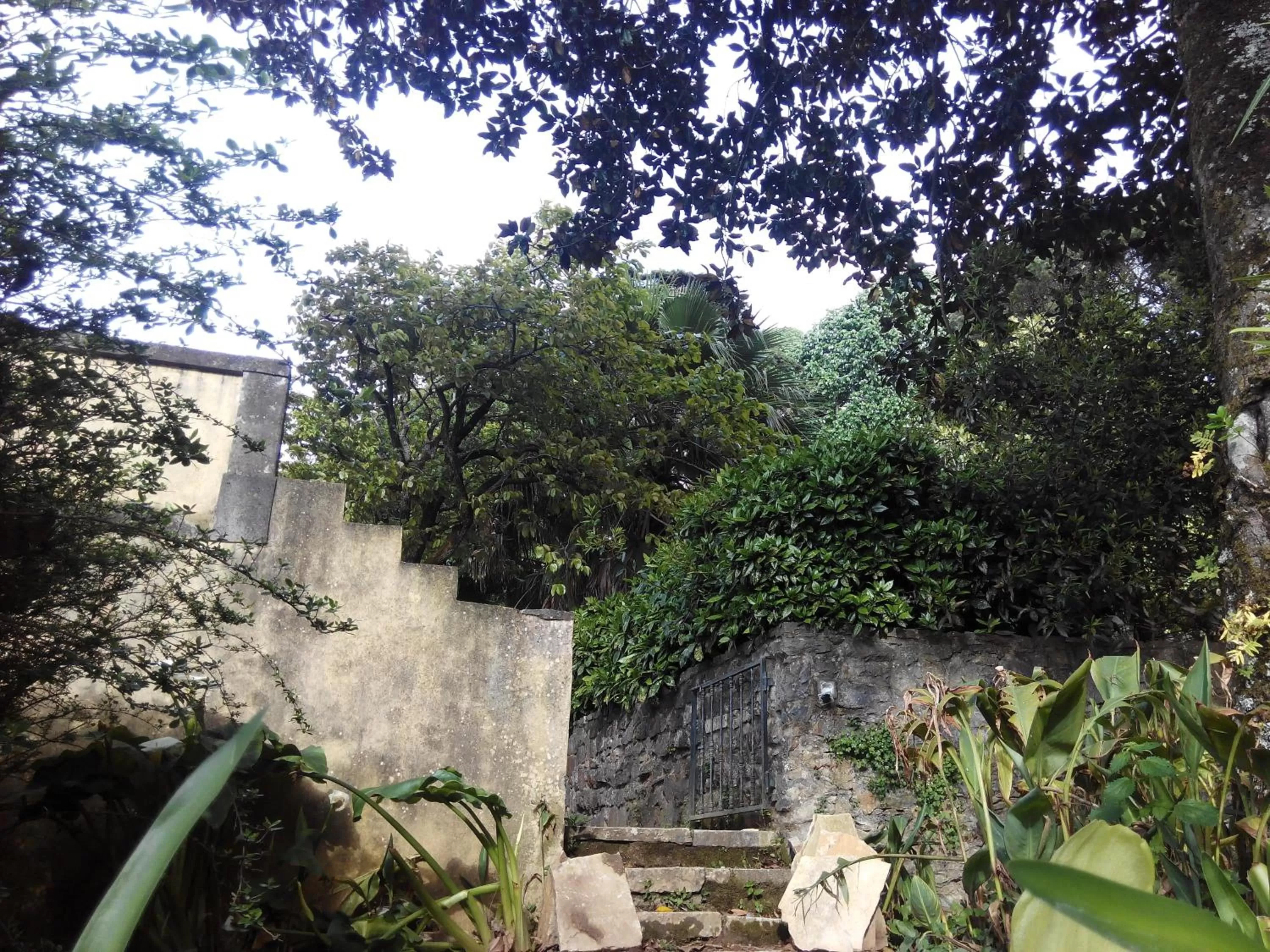 Garden in Guest House Villa dos Poetas