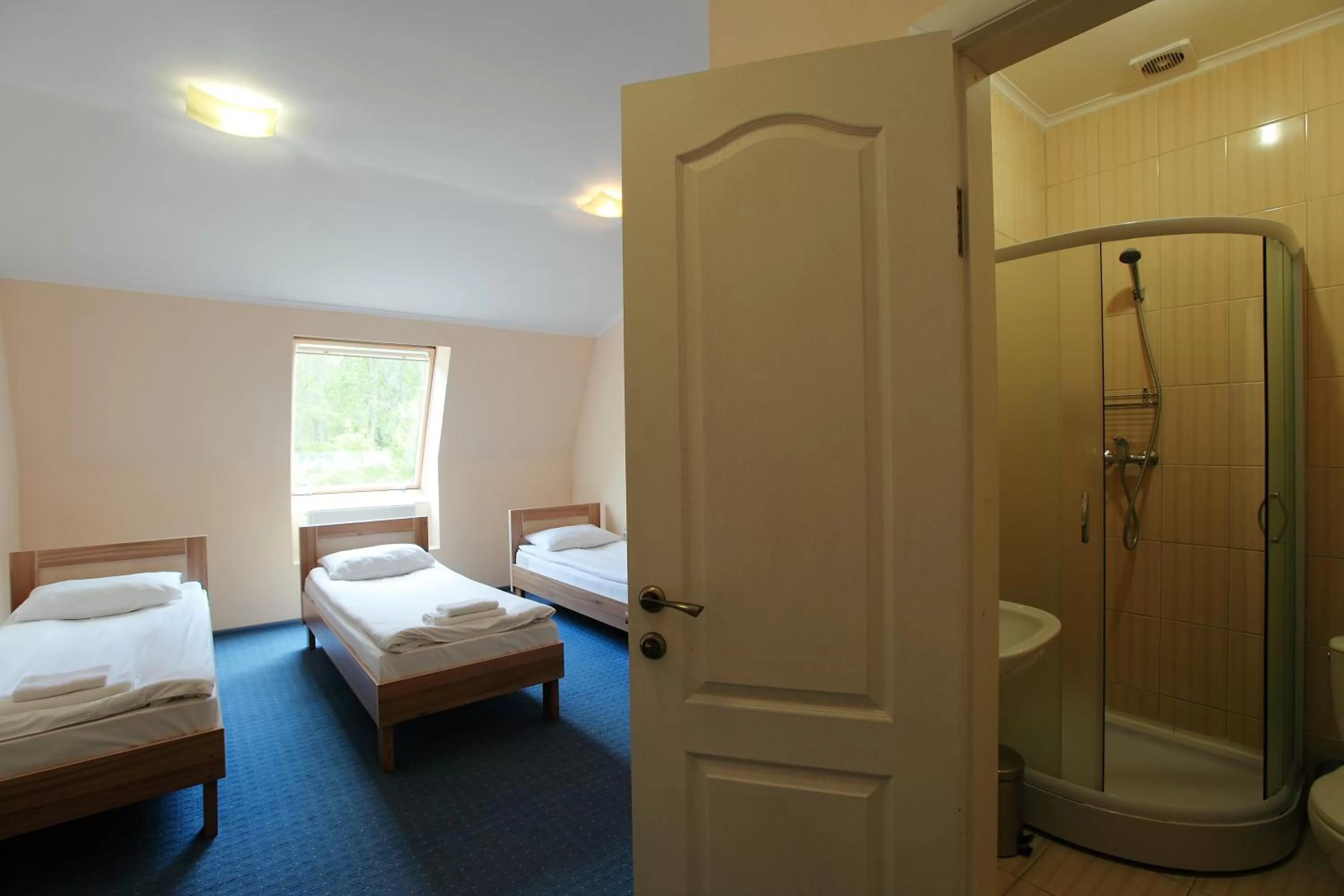 Standard Triple Room in Budget Hotel Ekotel