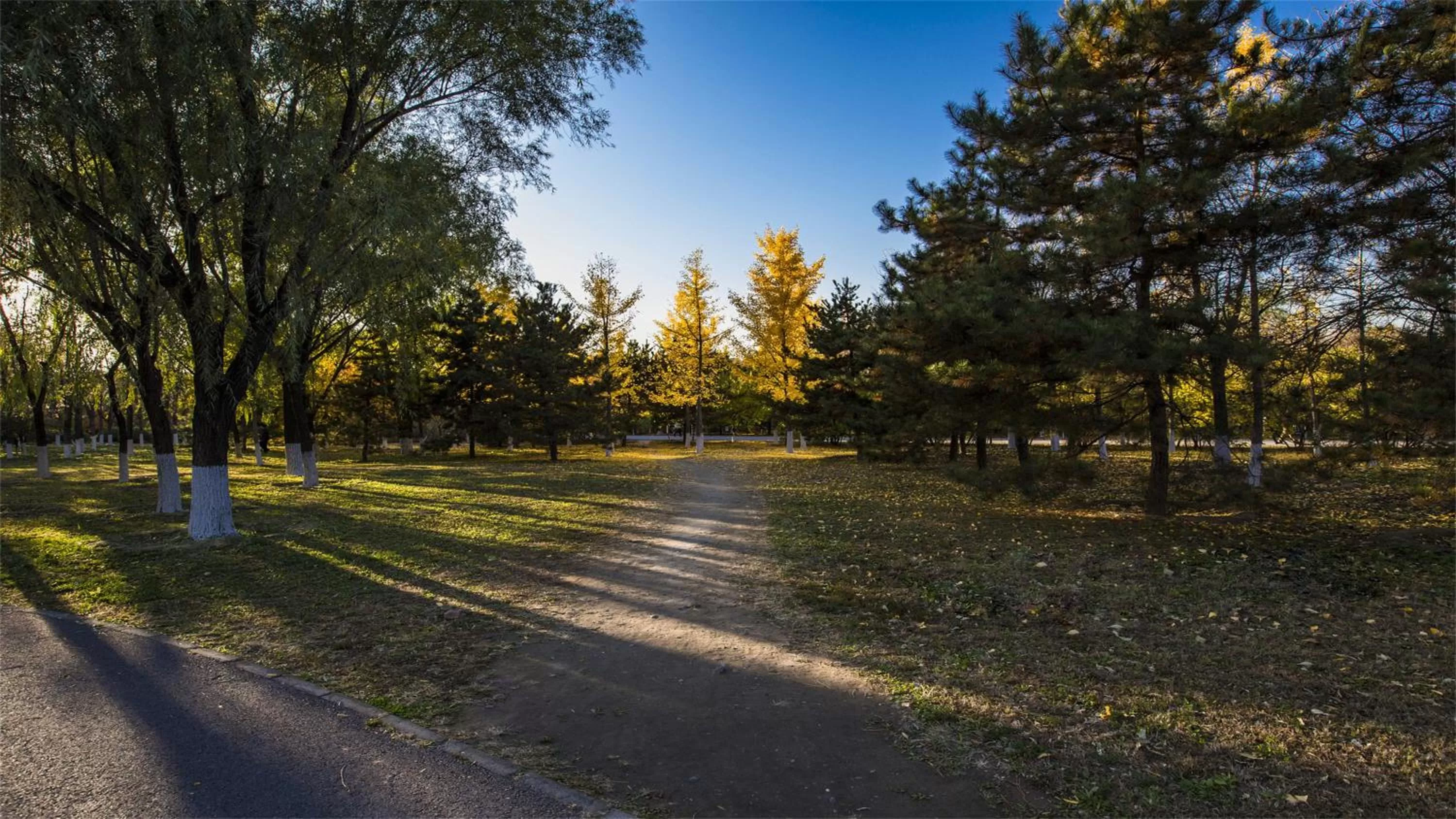 Nearby landmark in Marco Polo Parkside, Beijing