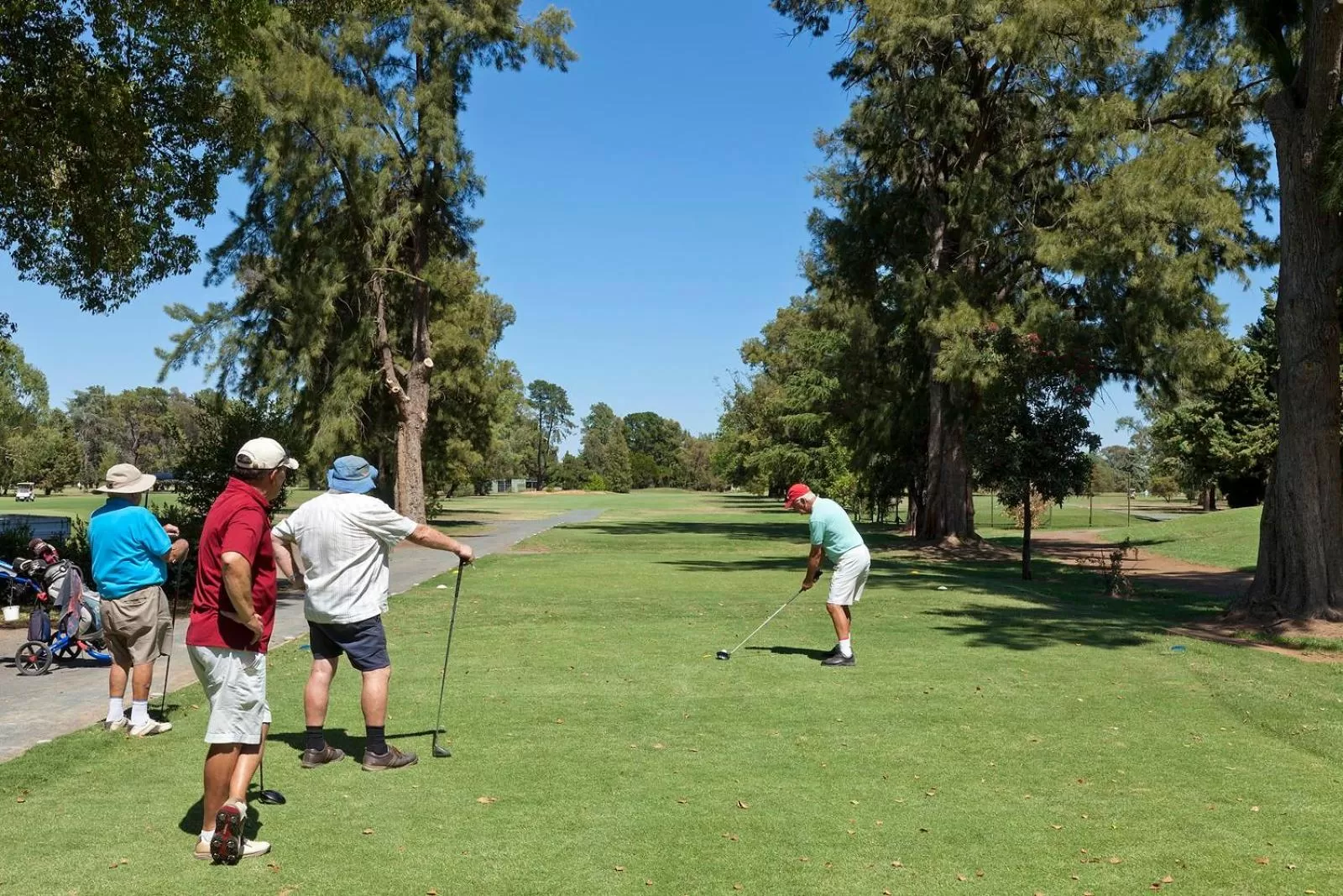 Golfcourse in Howlong Golf Resort