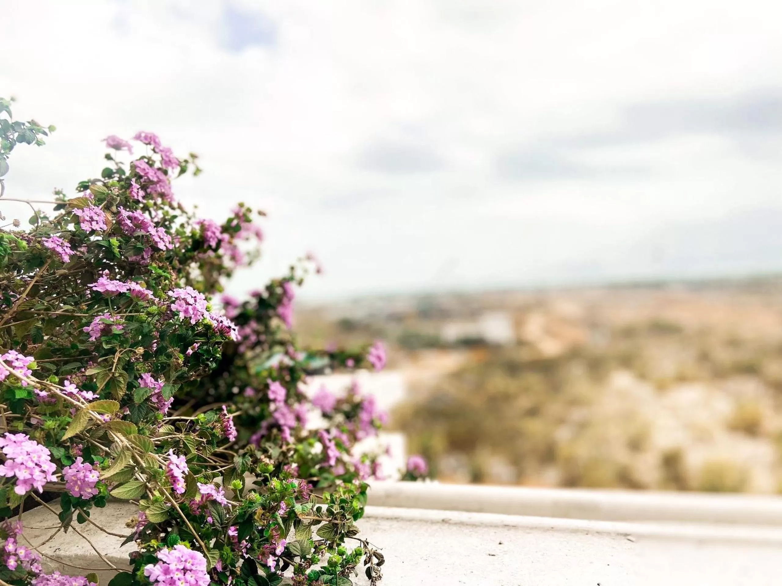 View (from property/room) in Elysinam Boutique Hotel Ha Long