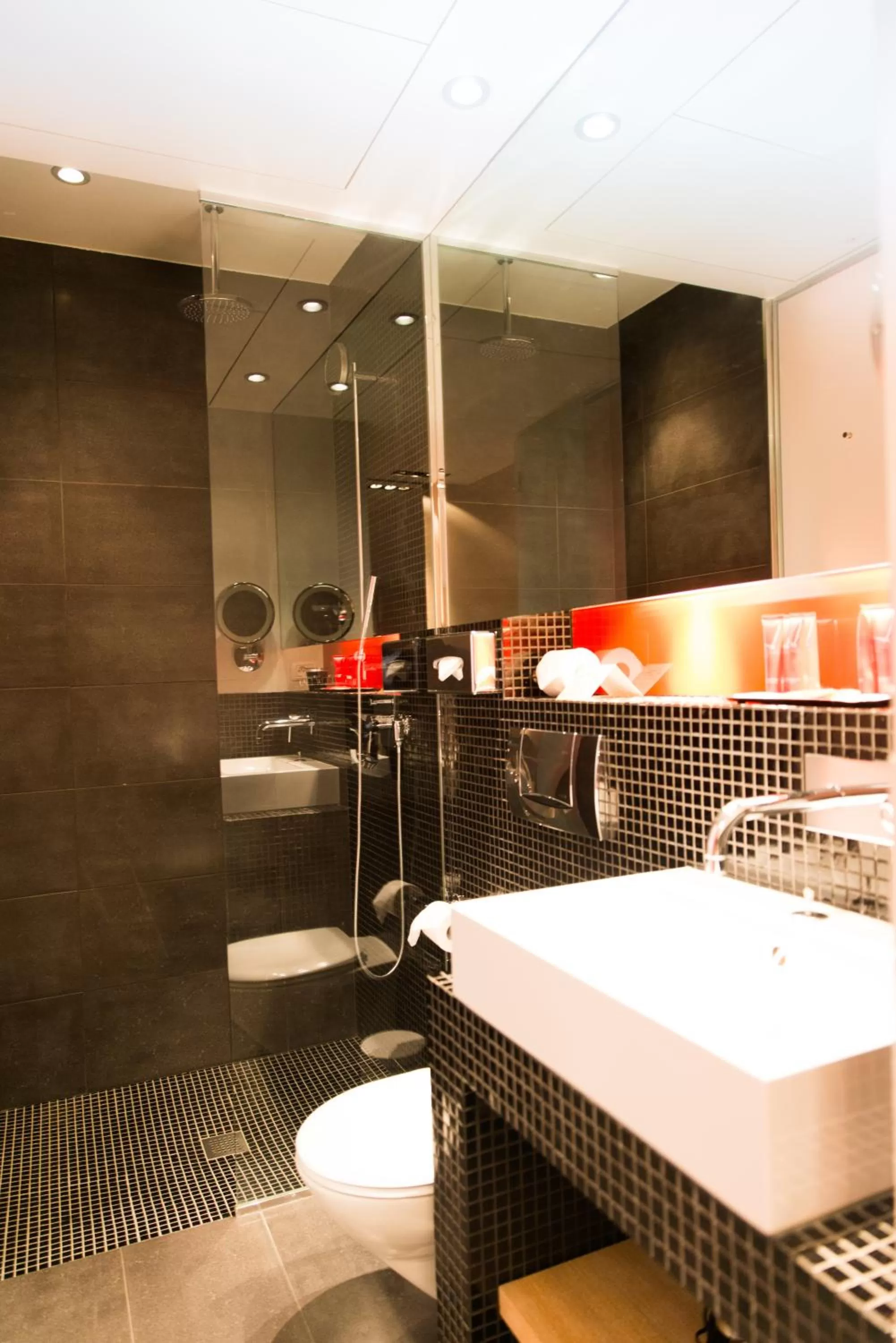 Shower in Golden Tulip Opera de Noailles