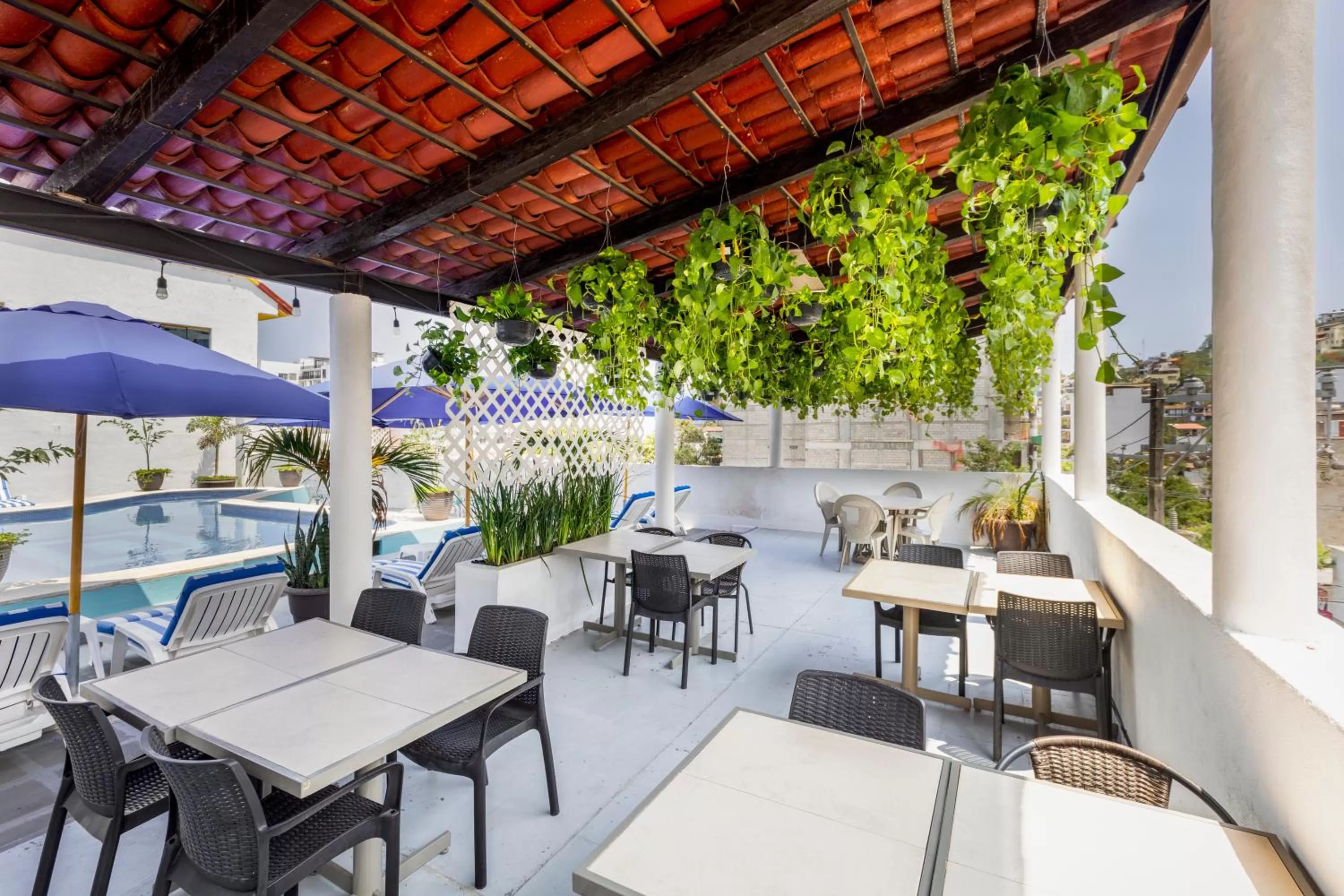 Day in Hotel Pueblito Vallarta