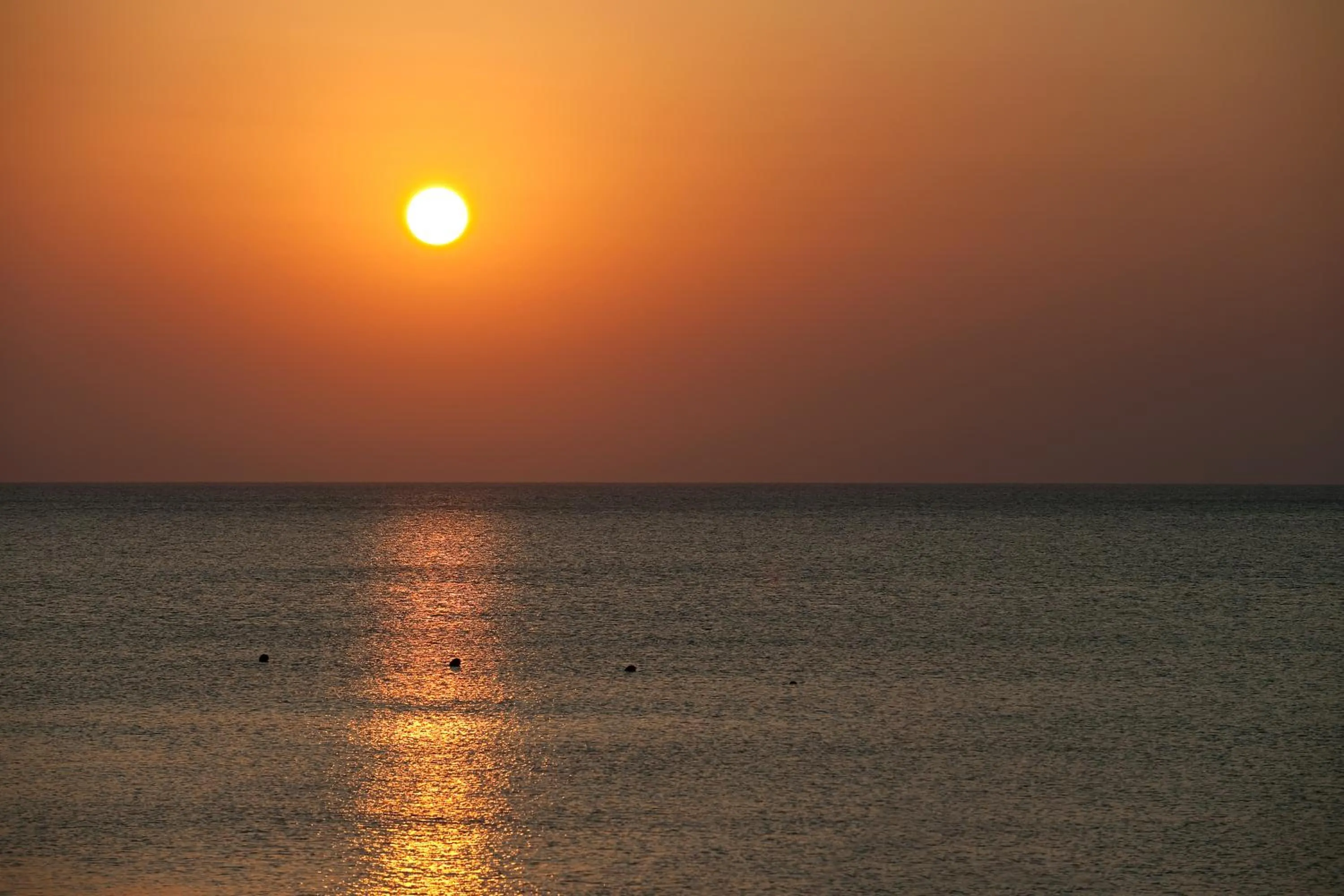 Natural landscape in Apollo Blue