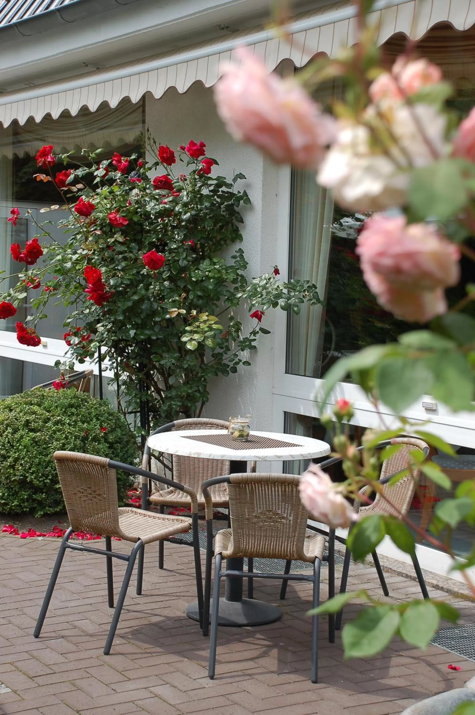 Balcony/Terrace, Patio/Outdoor Area in Ferienhotel Haus Becker
