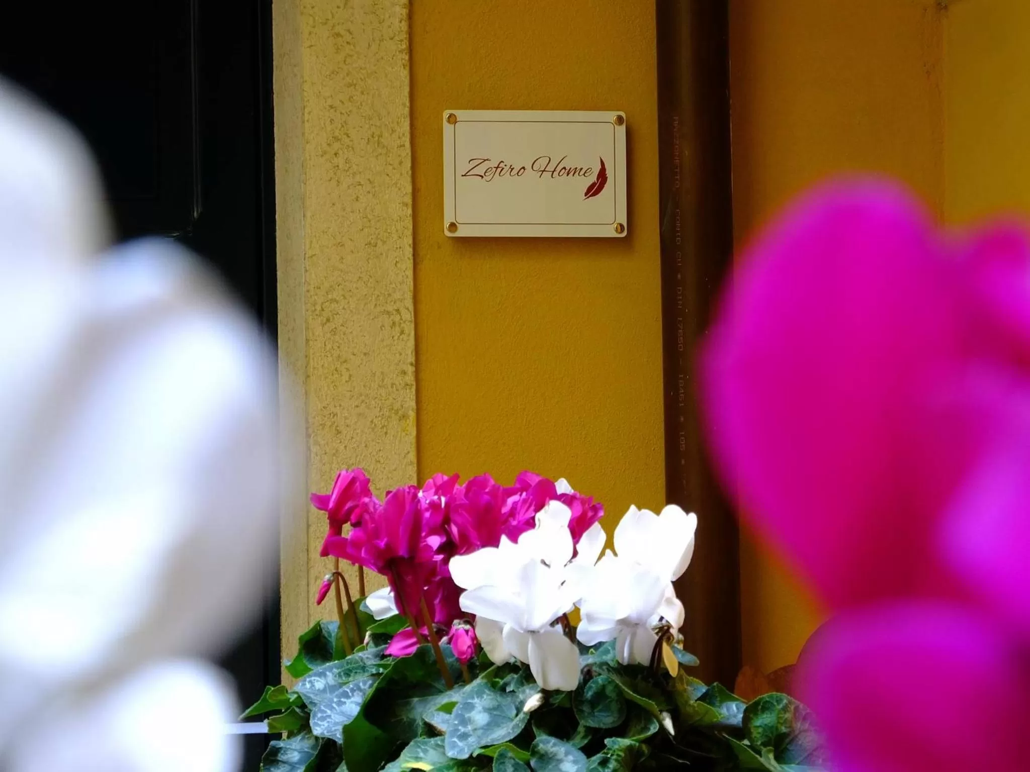 Property logo or sign in Zefiro Home