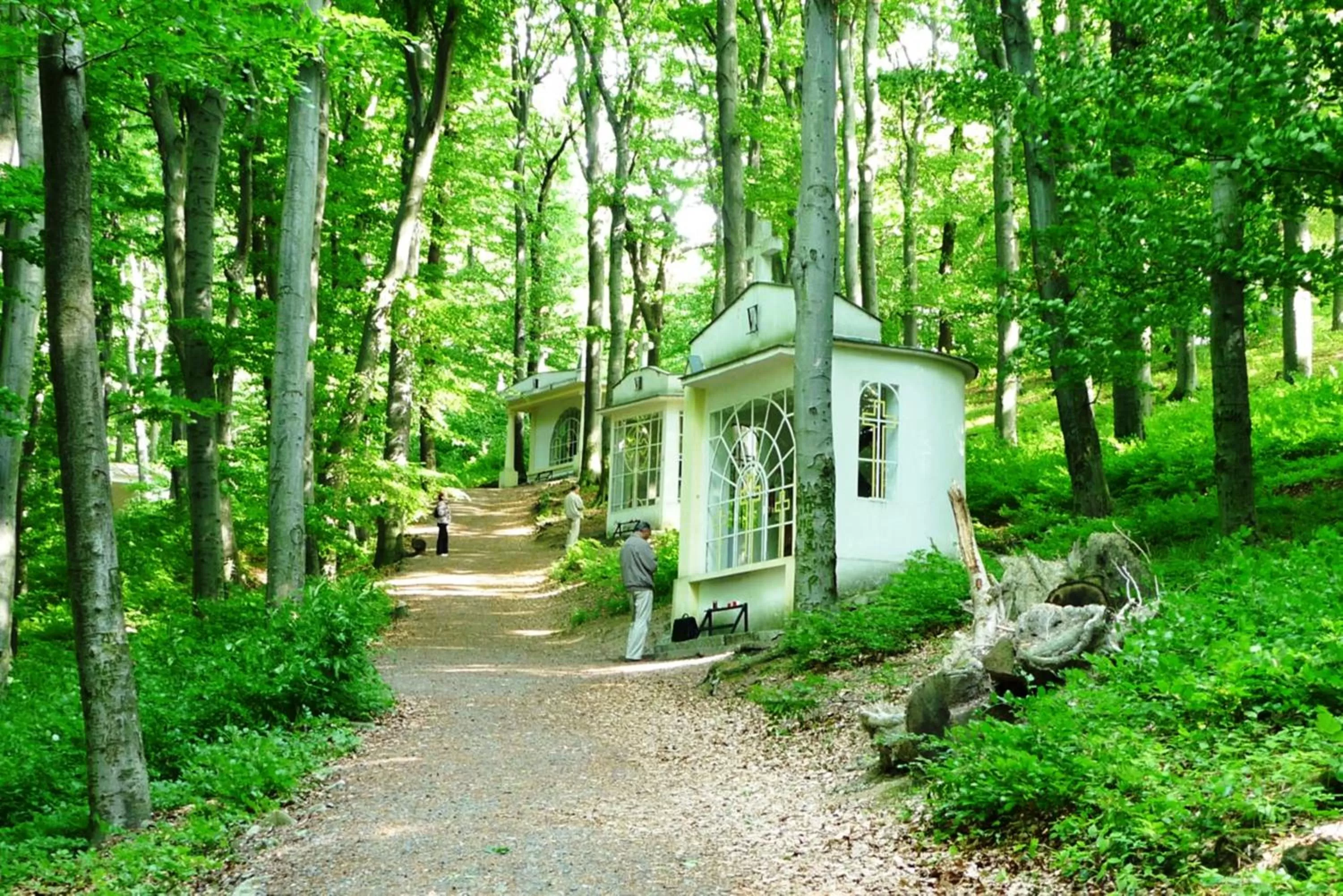 Neighbourhood, Property Building in Spa & Pool Apartment Hotel - Restaurant VILLA IVICA