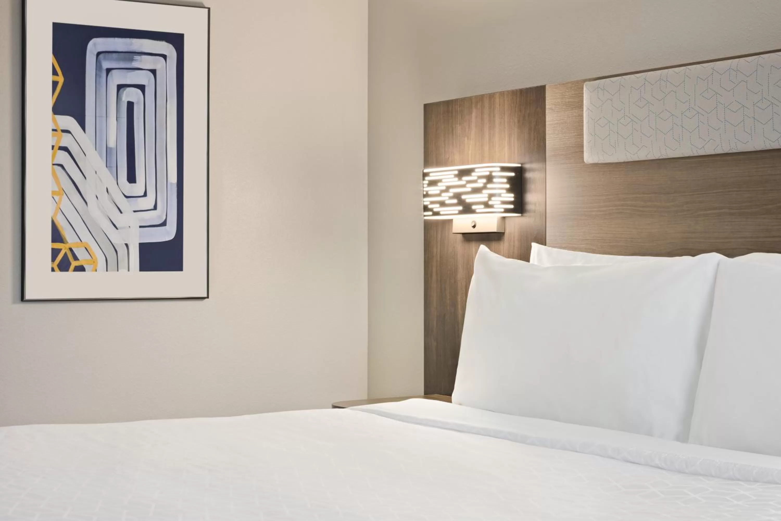 Queen Room - Disability Access in Holiday Inn Express Hotel & Suites Greenville-Downtown, an IHG Hotel