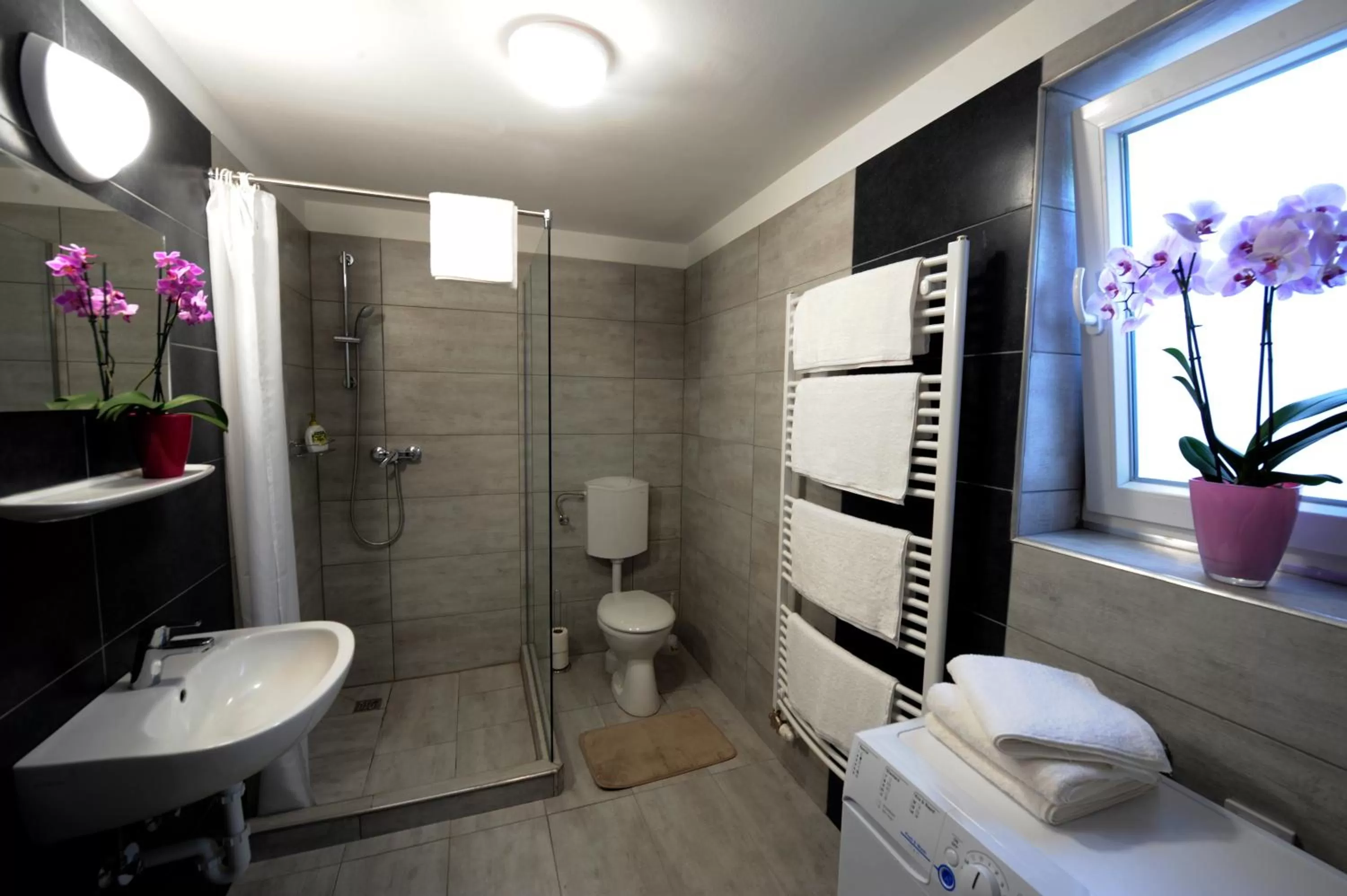 Shower in Tiszaliget Apartman és Szálló