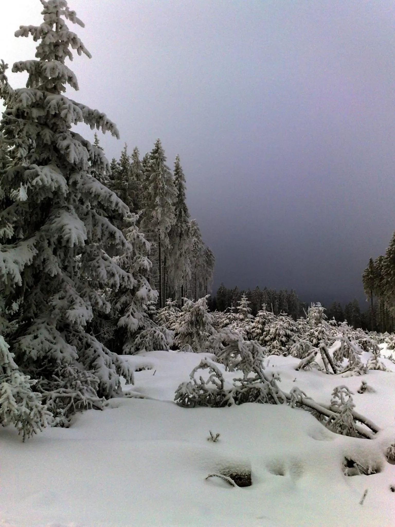 Winter in Heidehotel Hildfeld