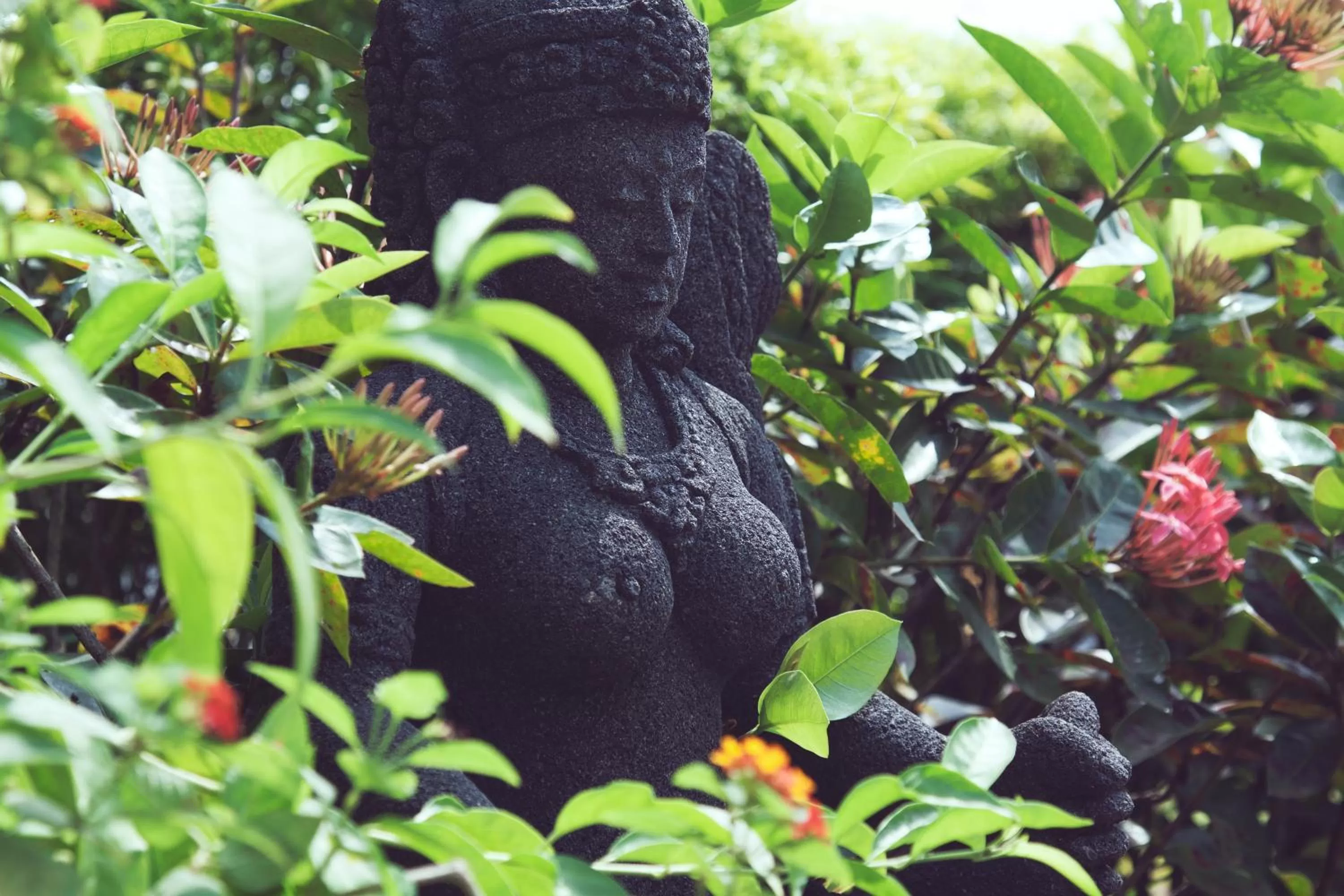 Decorative detail, Other Animals in Ahilya By The Sea