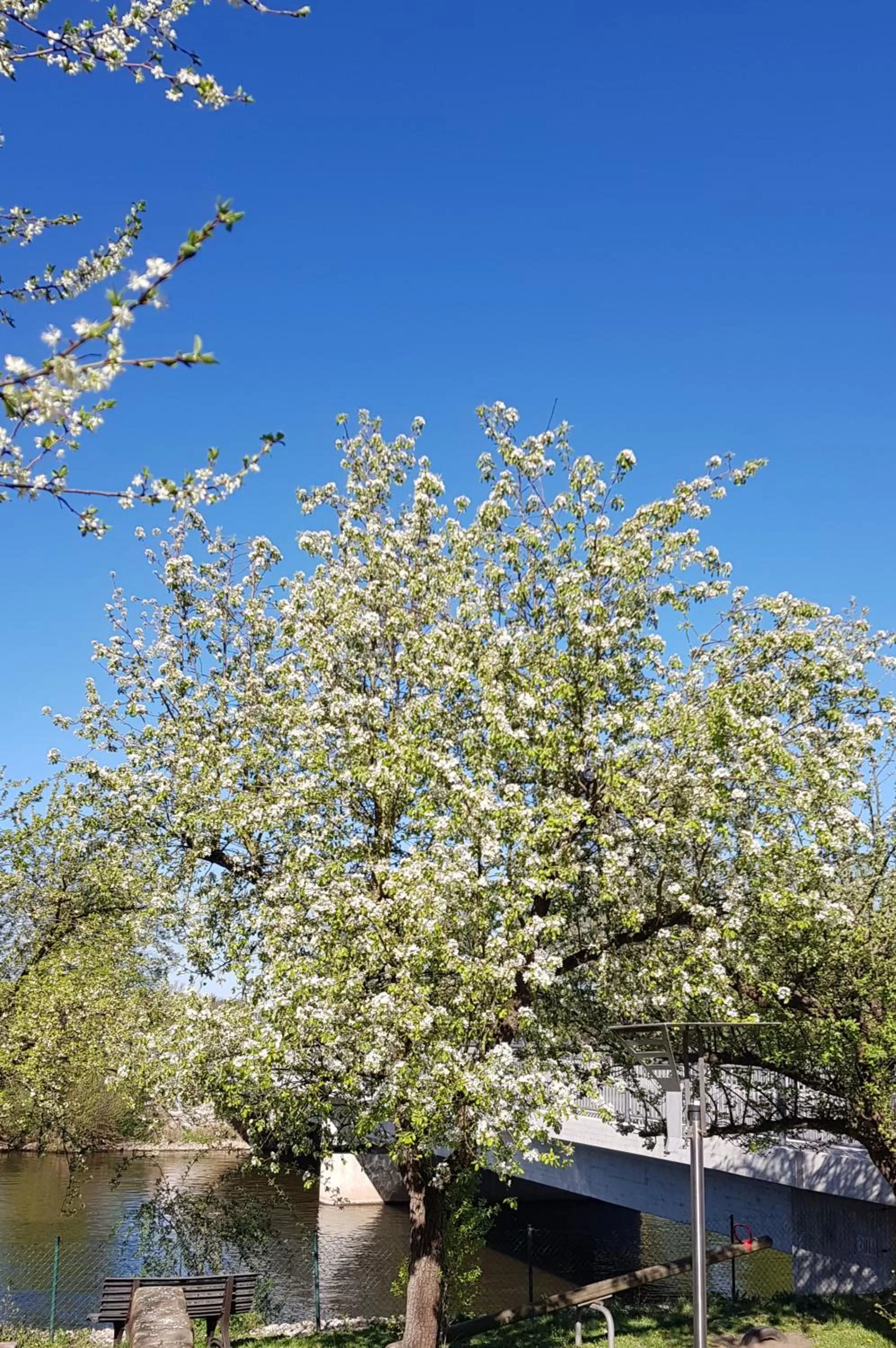 Balcony/Terrace in Hotel und Gasthof Ritter St. Georg