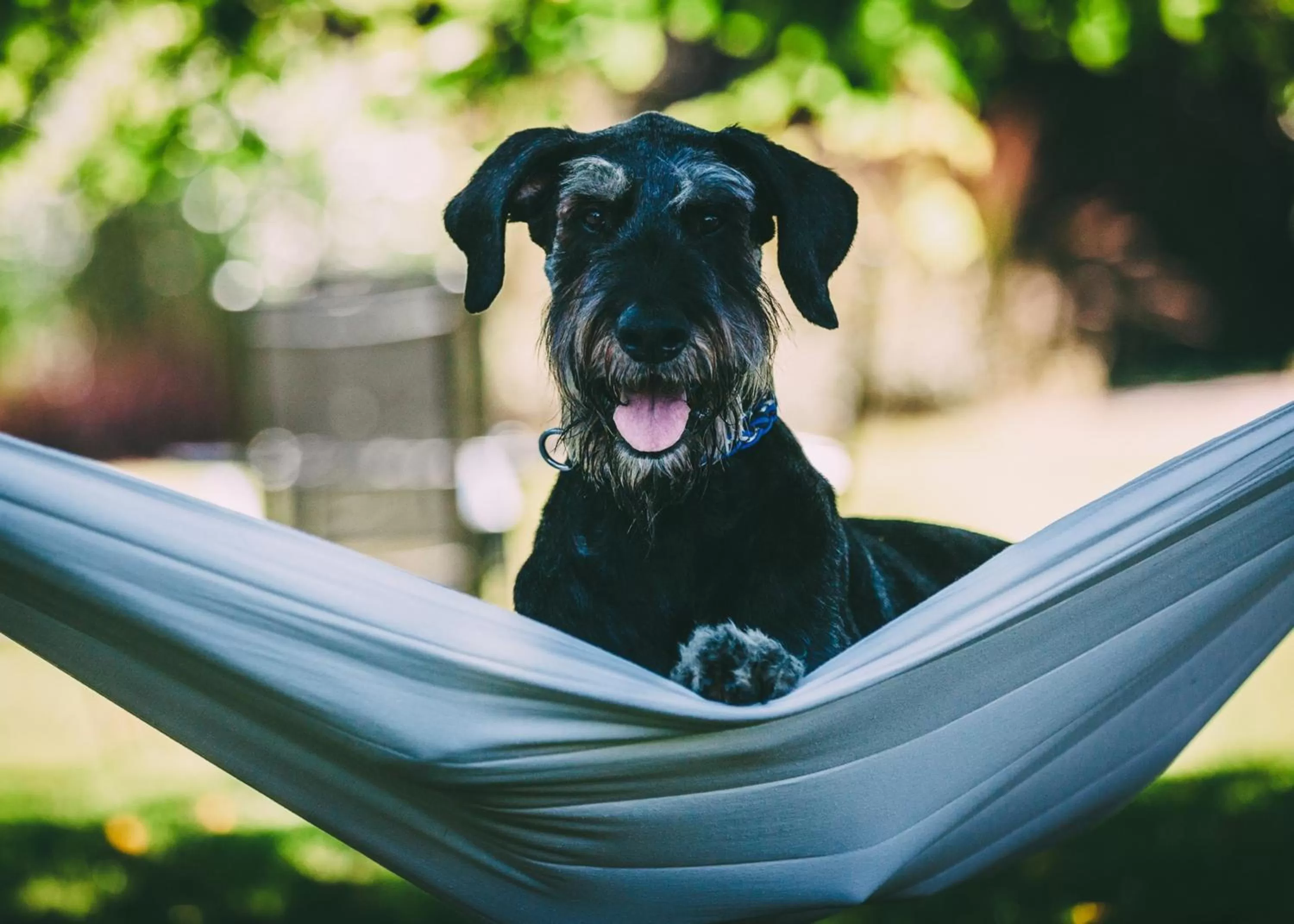 Garden in Colwall Park - Hotel, Bar & Restaurant