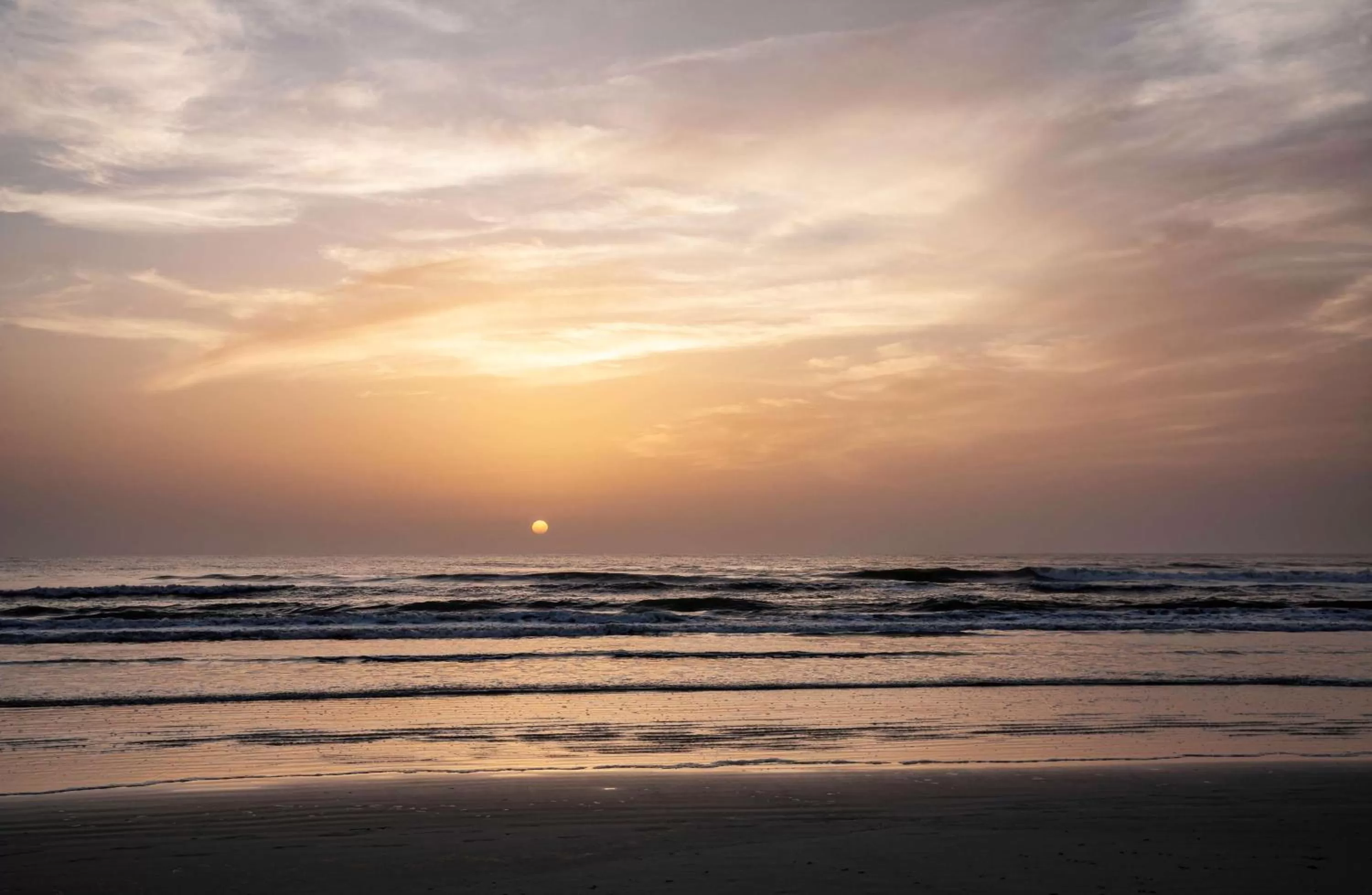 Beach in Best Western New Smyrna Beach Hotel & Suites