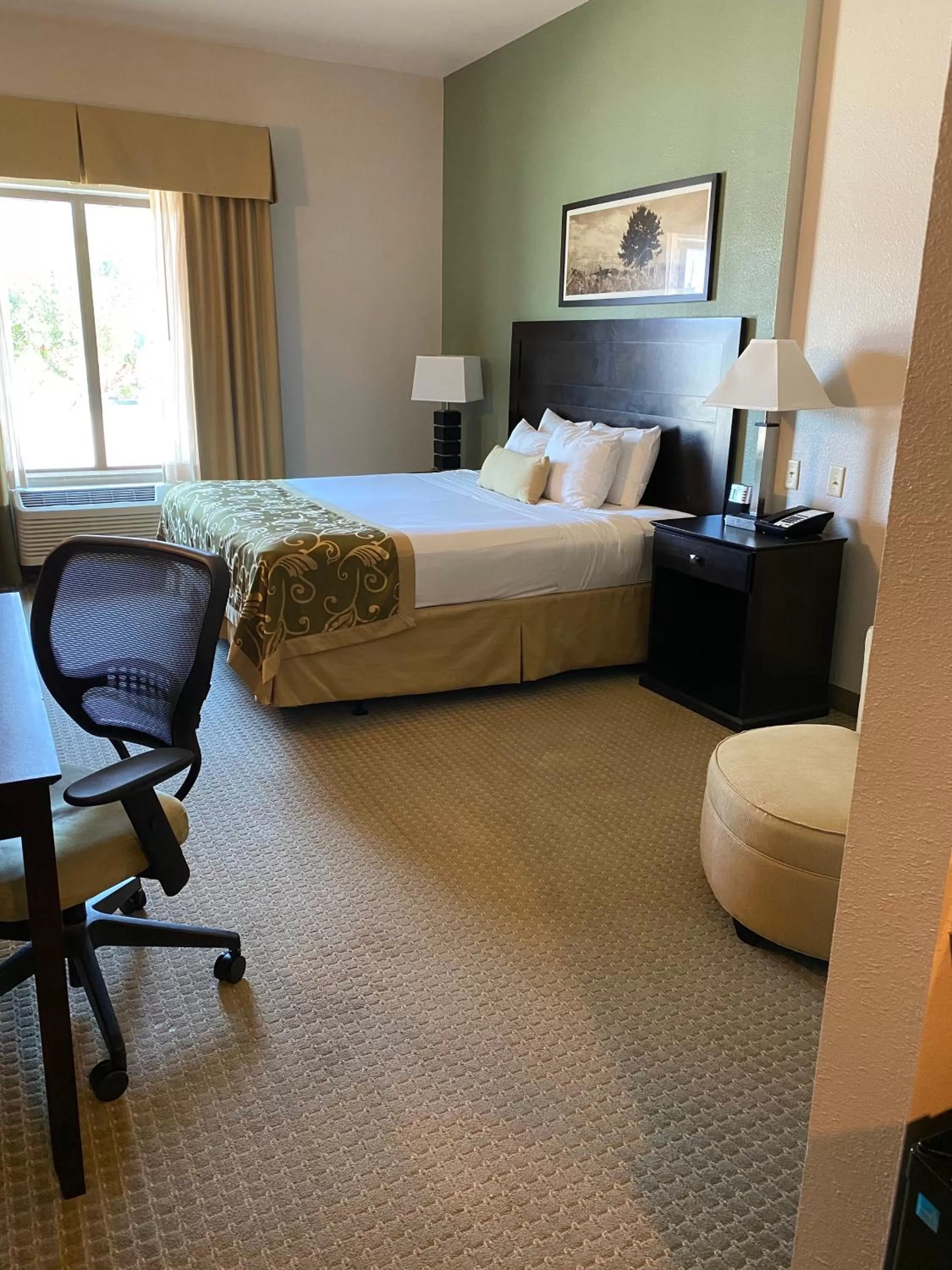 King Room with Roll-In Shower - Mobility/Hearing Accessible - Non-Smoking in Comfort Inn & Suites Frisco East - McKinney