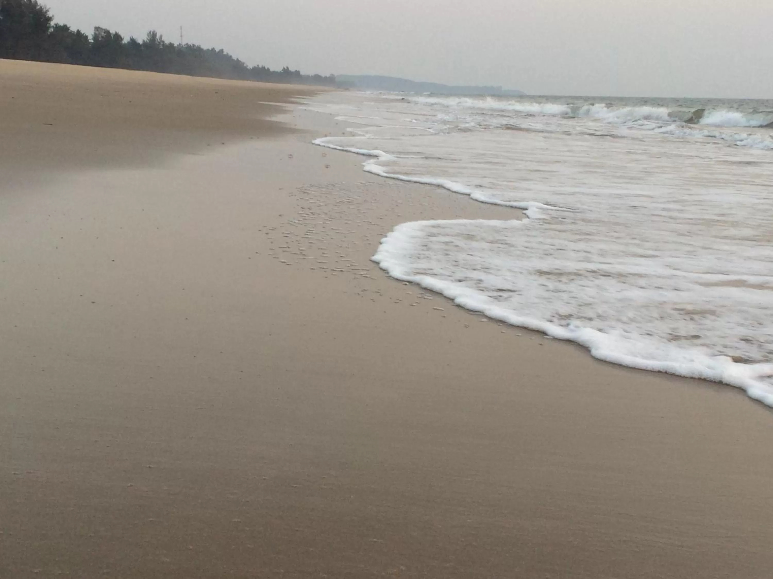 Natural landscape in OmBodhi Retreat