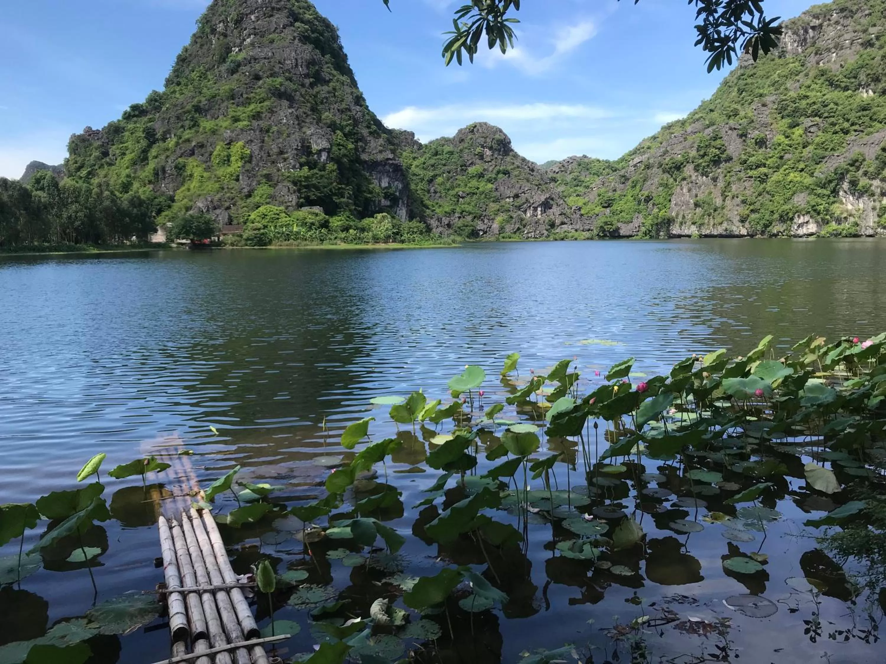 Natural landscape in Trang An Lotus Lake Homestay