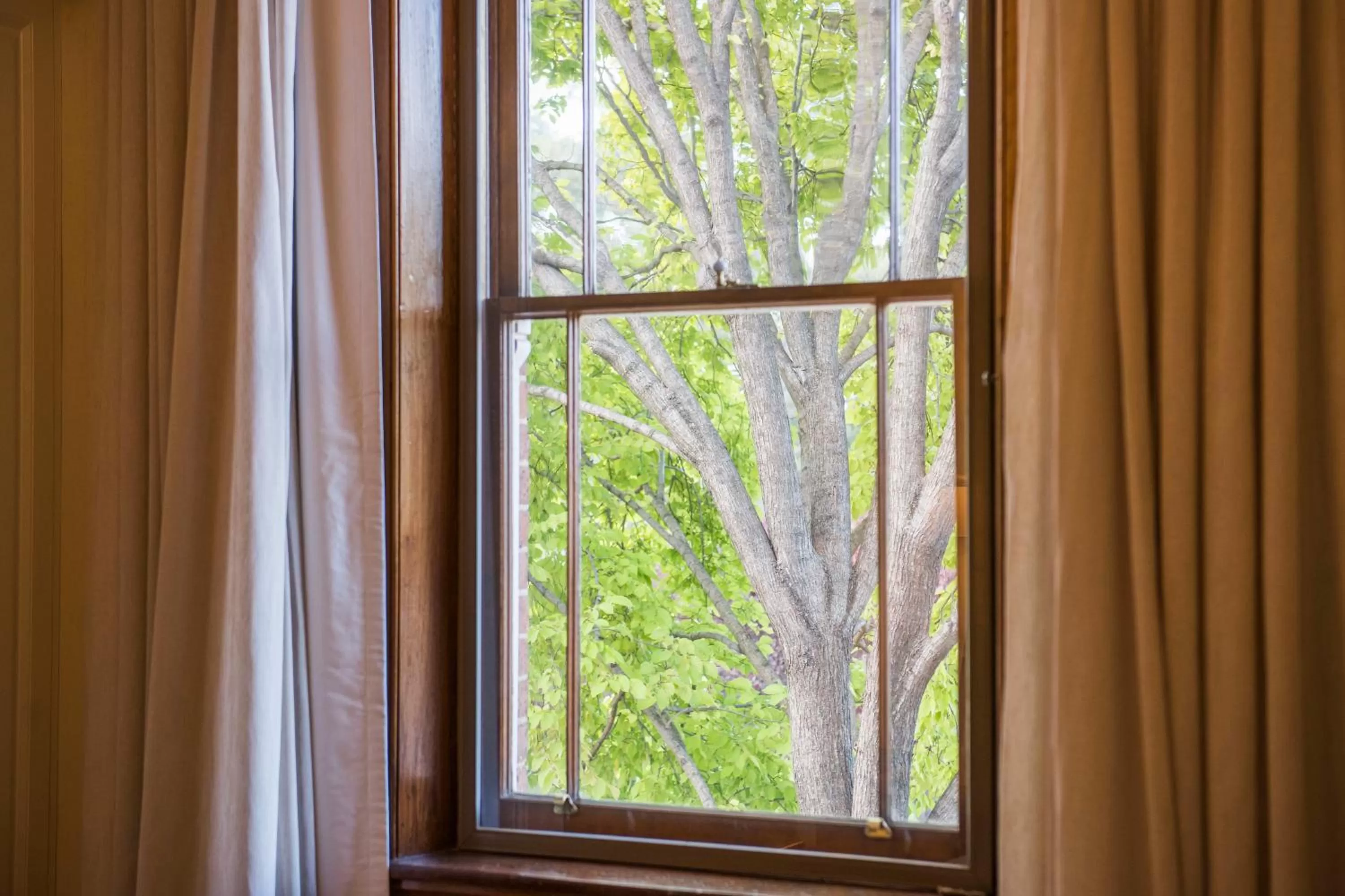 Decorative detail in The Parkview Hotel Mudgee