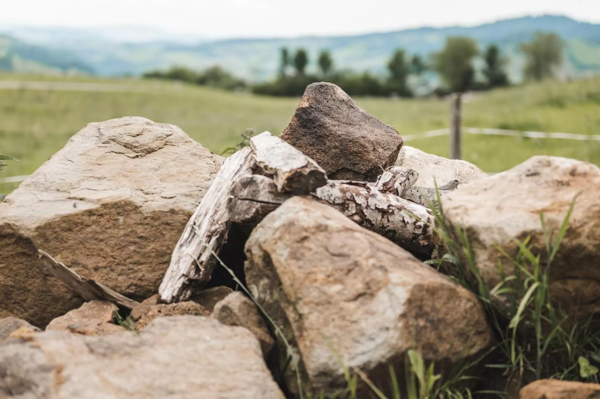 Natural landscape in B&B Hof Grosschreie