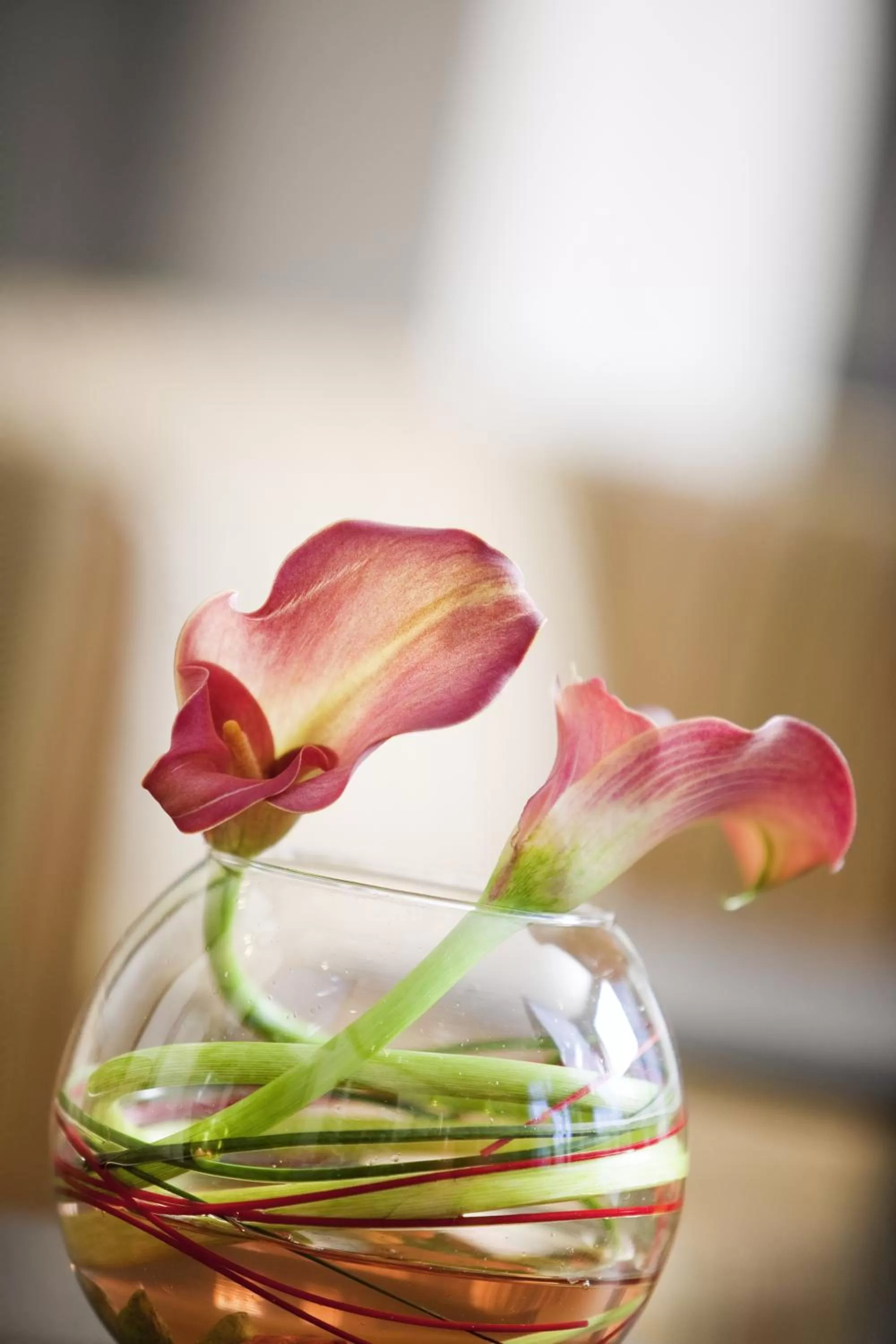 Other in Grand Hotel des Brotteaux Lyon - Handwritten Collection