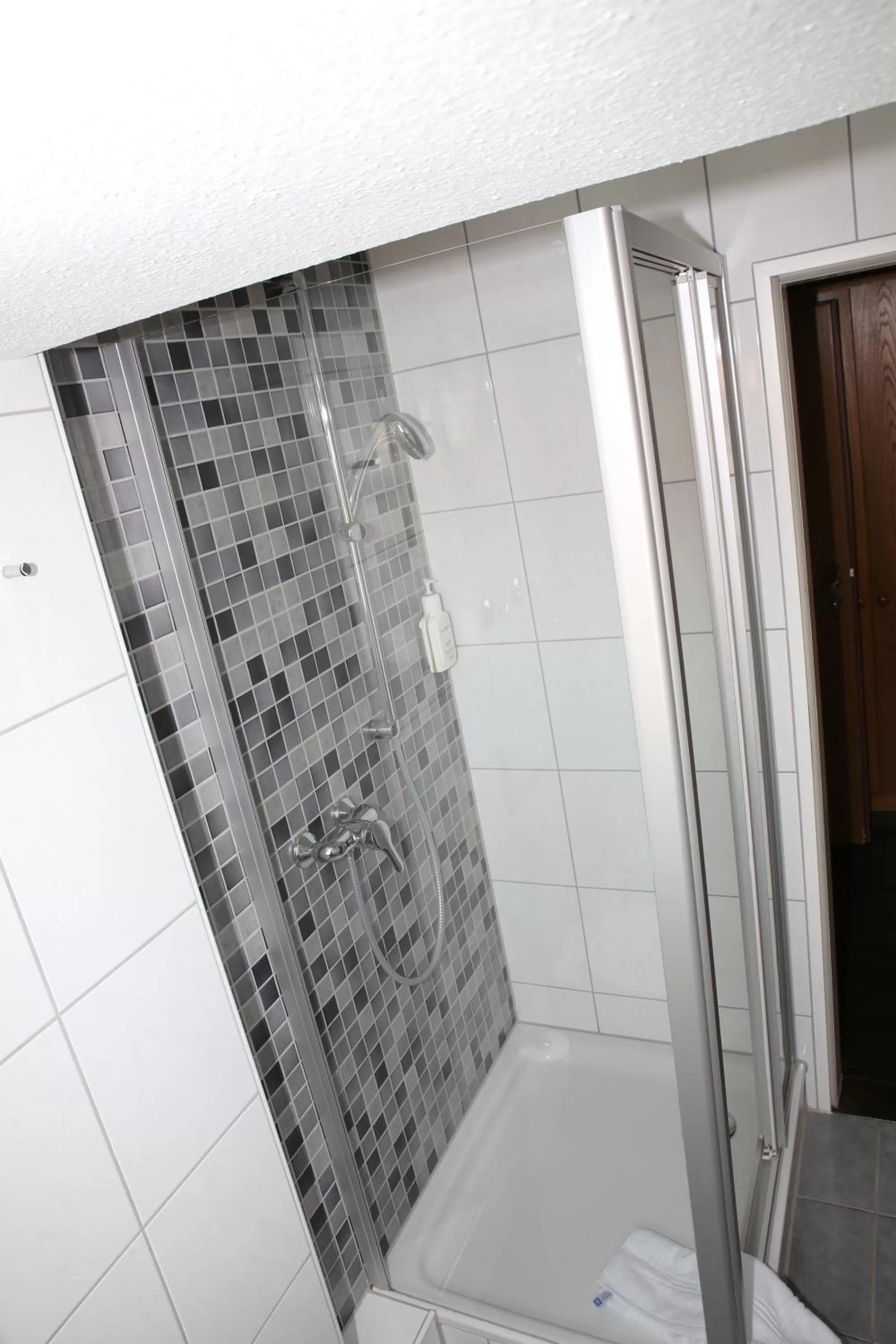 Shower in Landhotel Traube